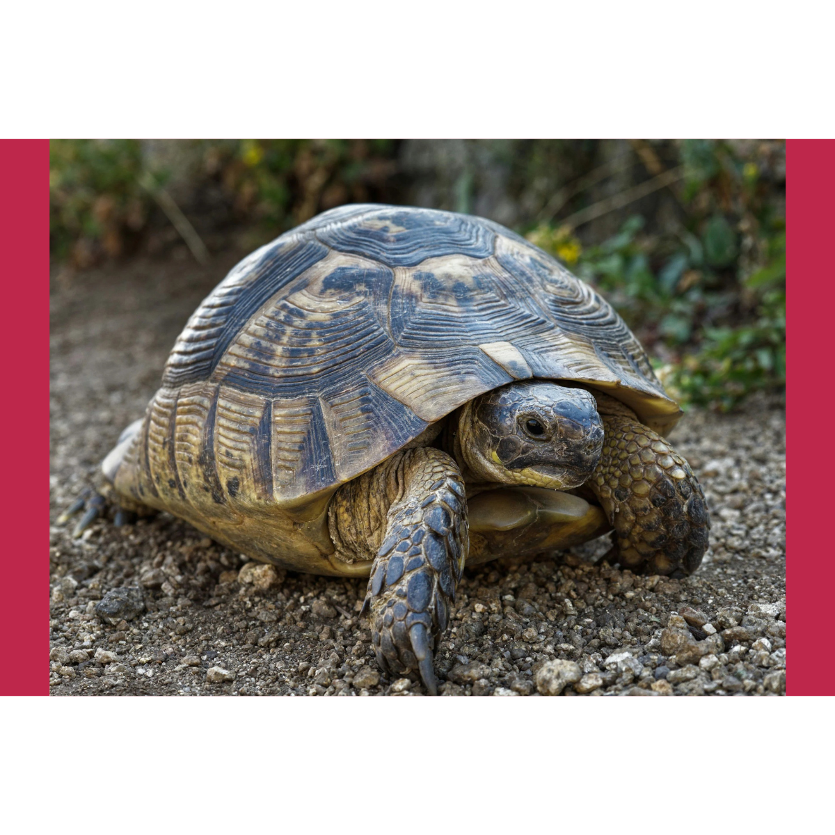 Pension Awareness Week 2023