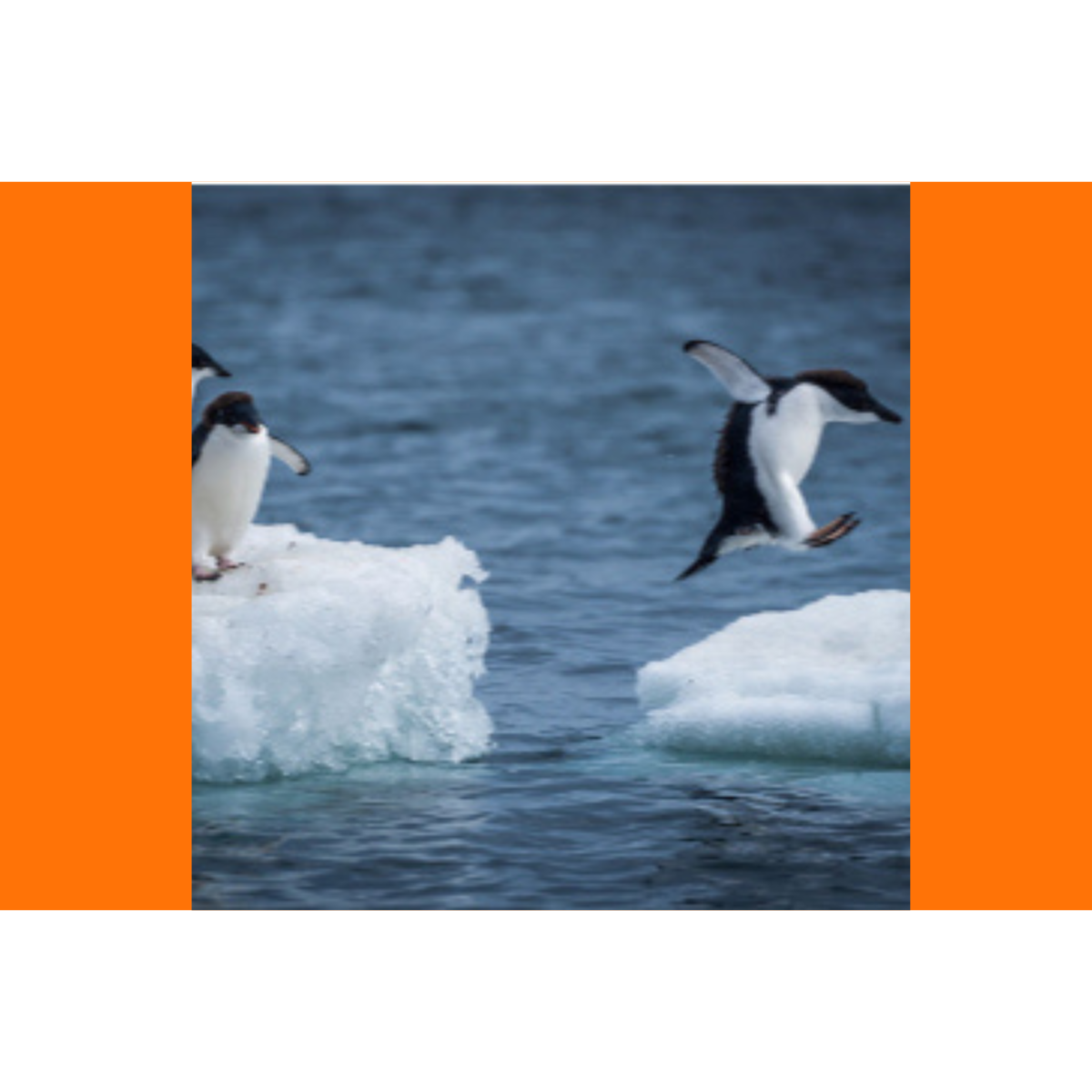 Time to Move Your Payroll…?