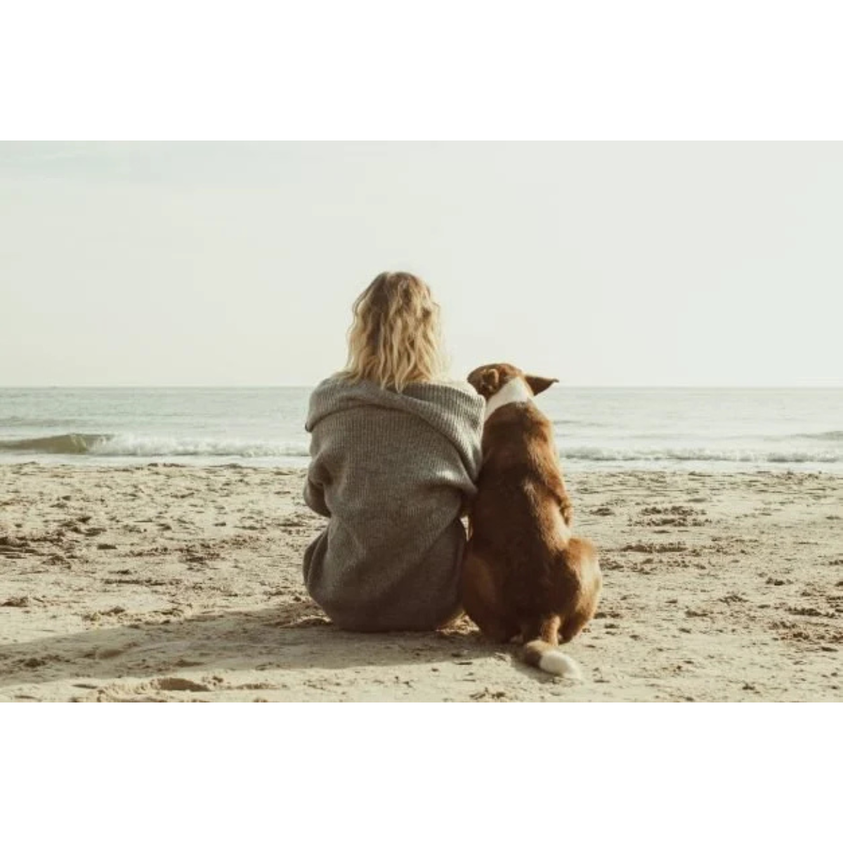 Mental Health in the Workplace