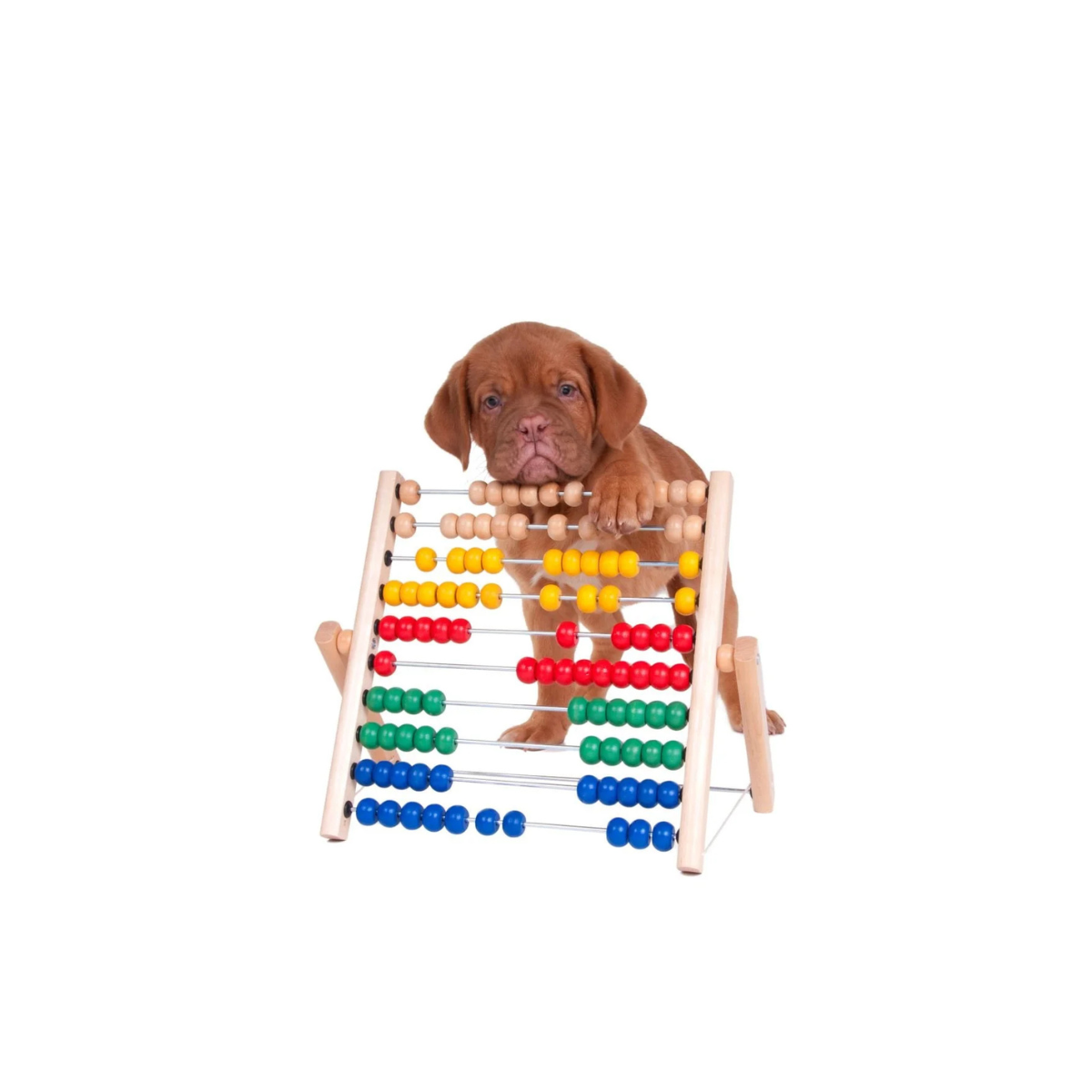 Does Your Payslip Make Sense?