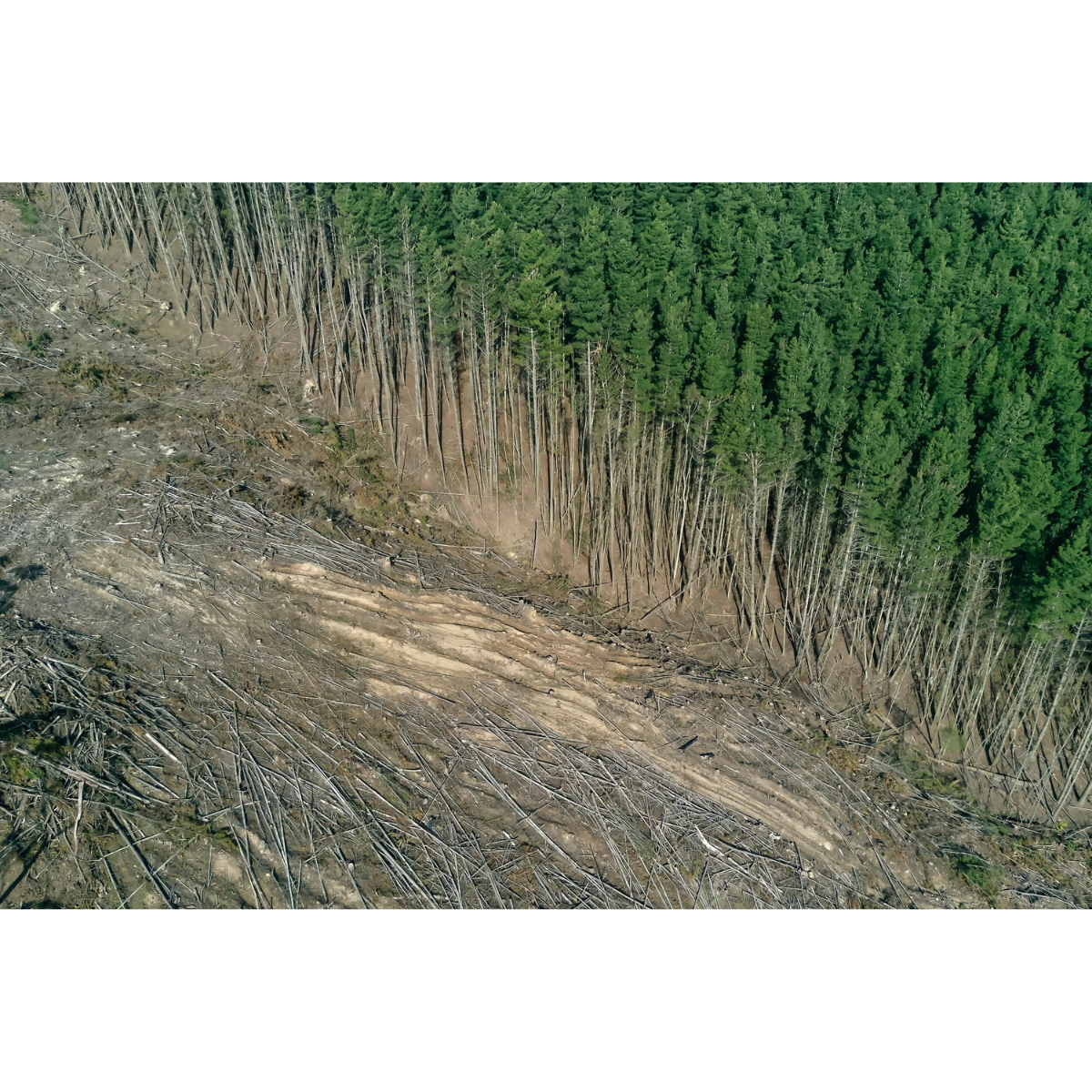 Power to the People - ESG and Workplace Pensions