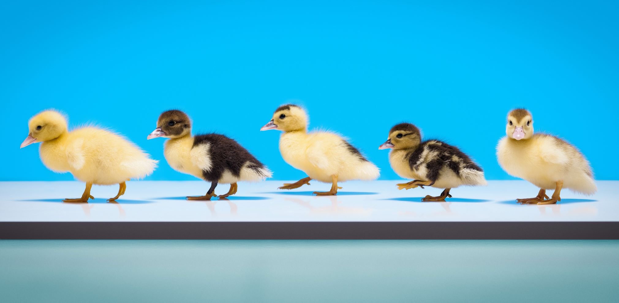 Employment Rights: What’s changing, when and how do you keep up?