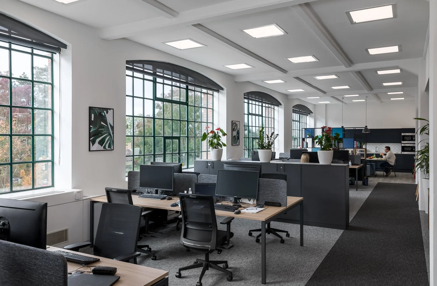 Photography at the Office of Bionocal Emas