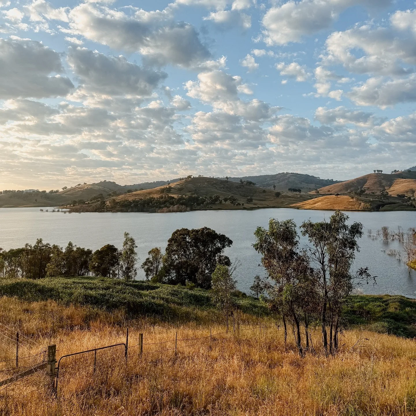 Mudgee putting on a show this morning ☀️