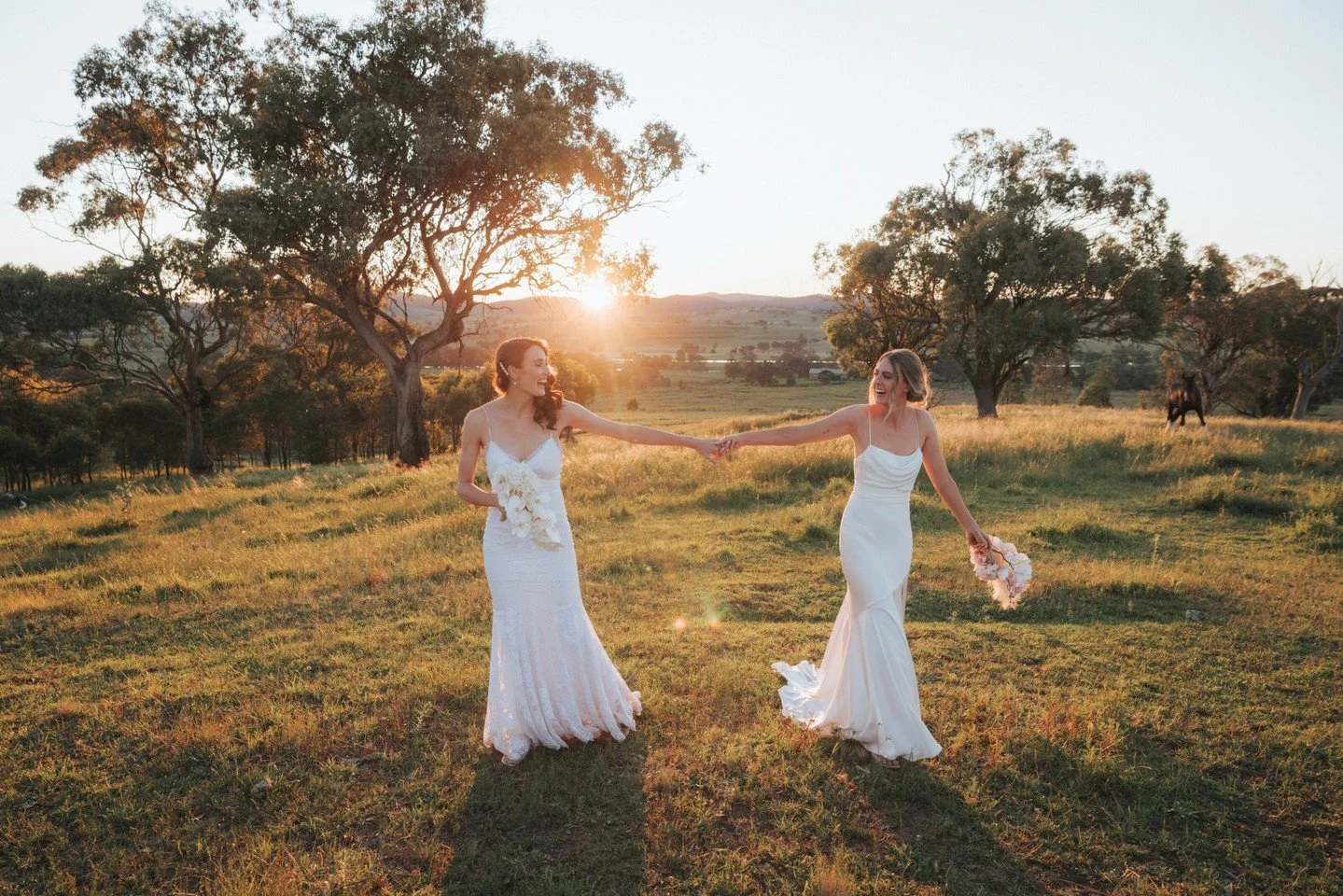 Sunsets at Lowe Winery are secretly my favourite in Mudgee. The wide open paddocks and rolling hills really show off at golden hour.