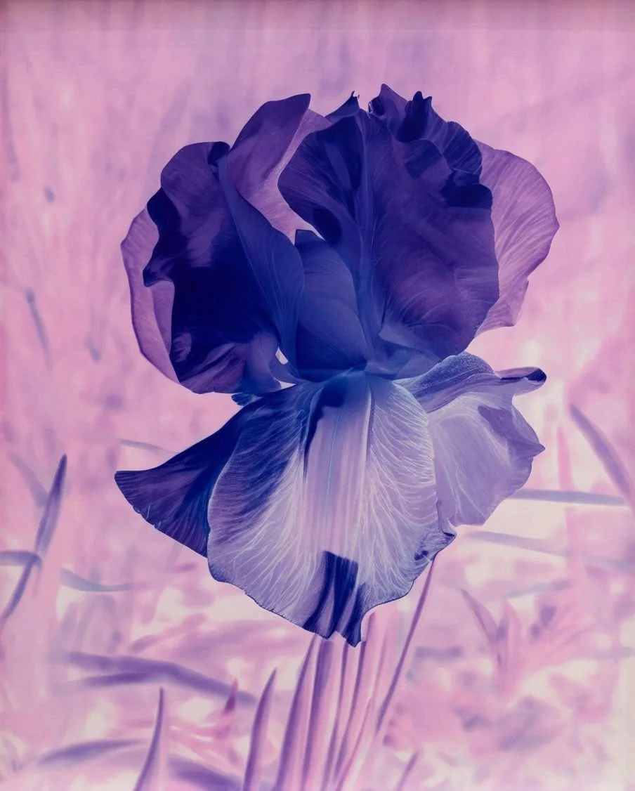 J-1 🌸

Tomorrow, L&euml;t'z Arles opens the doors to its exhibition Lisa Oppenheim &ndash; Monsieur Steichen, for this 57th edition of the Rencontres d'Arles !

An innovative and contemporary dialogue that responds to and extends Edward Steichen's w