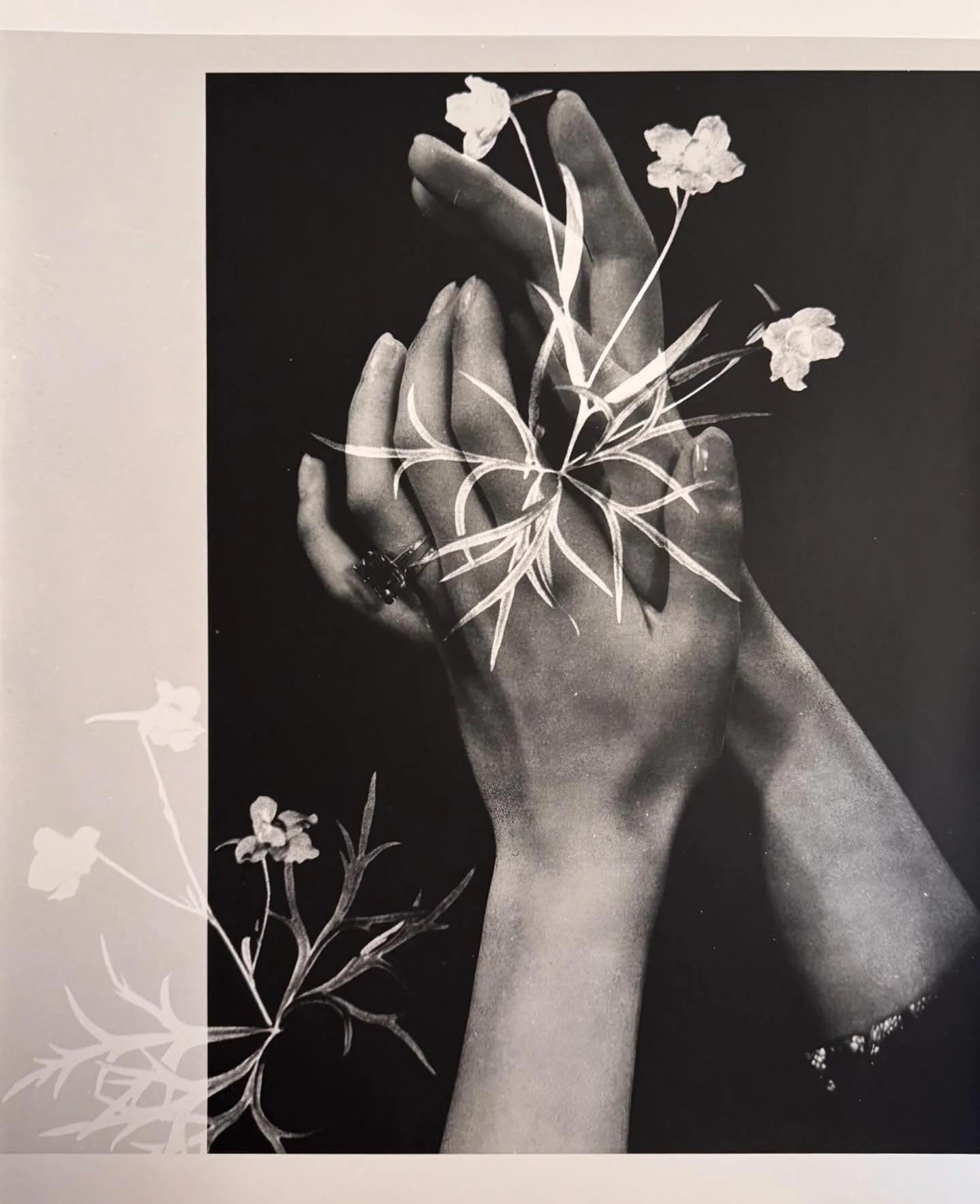 At the heart of Lisa Oppenheim &ndash; Monsieur Steichen, the Steichen Studies offer a glimpse into the artist&rsquo;s creative process: they combine photographs Oppenheim took in Steichen&rsquo;s archives with photographic experiments conducted in h