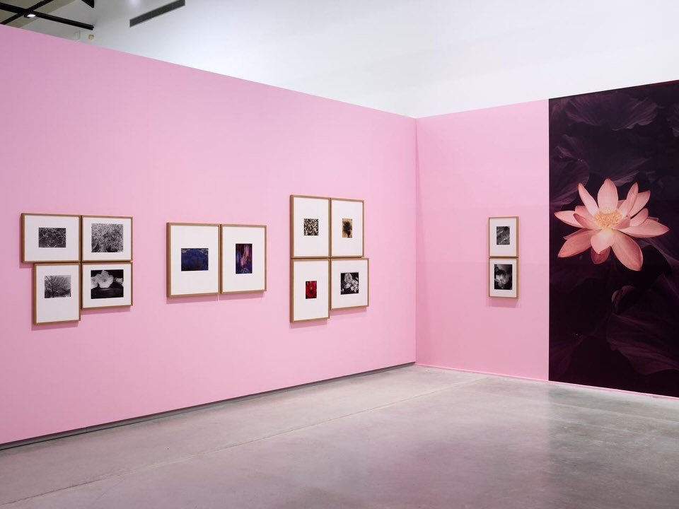 Vues de l&rsquo;exposition &laquo; La nature d&rsquo;Edward Steichen &raquo; &agrave; La M&eacute;canique G&eacute;n&eacute;rale &agrave; LUMA dans le cadre des Rencontres d&rsquo;Arles 2026. 
 
&mdash; 
 
La nature d&rsquo;Edward Steichen 
6 juillet