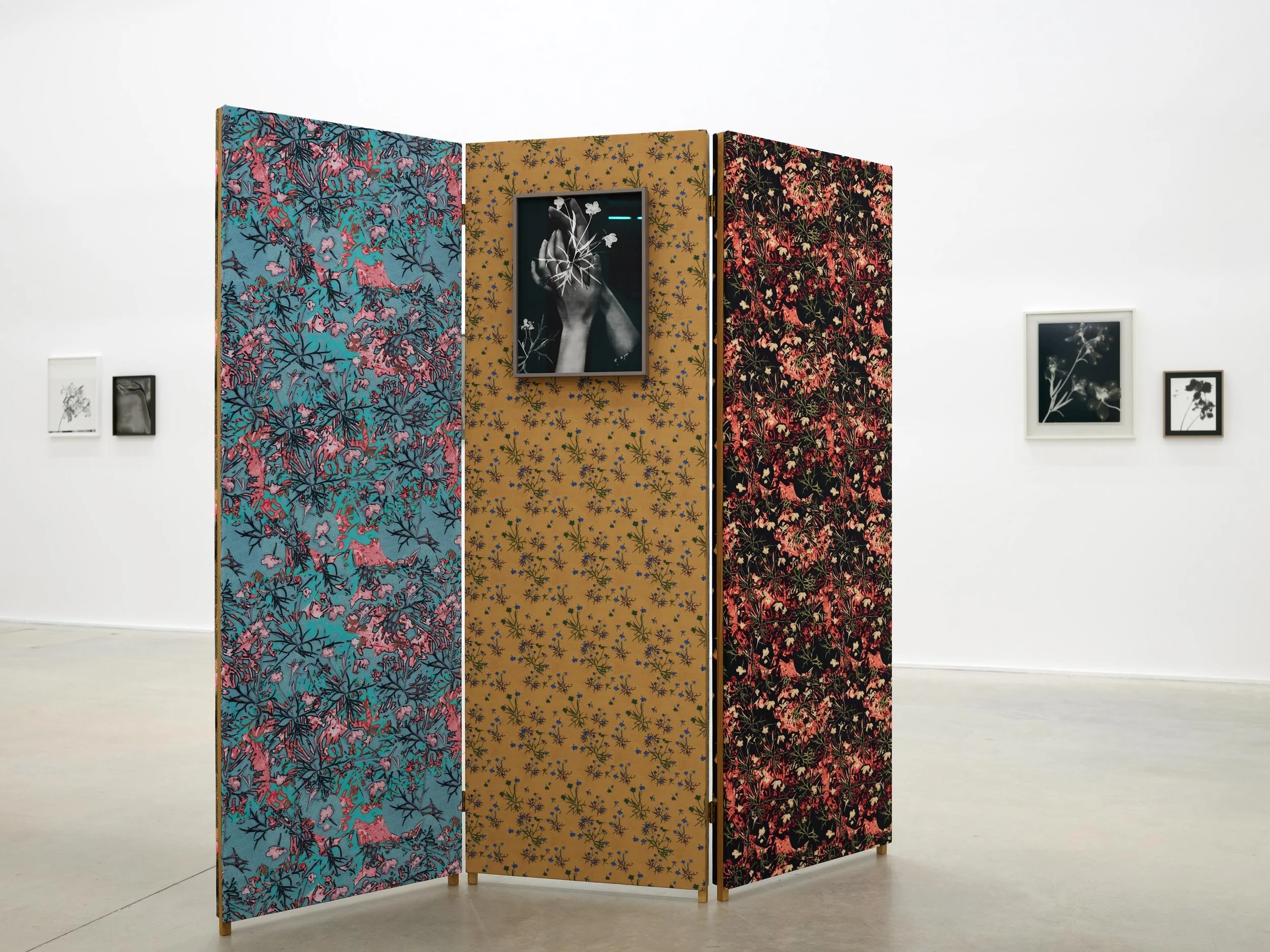 Vues de l&rsquo;exposition &laquo; Lisa Oppenheim &ndash; Monsieur Steichen &raquo; &agrave; La M&eacute;canique G&eacute;n&eacute;rale &agrave; LUMA dans le cadre des Rencontres d&rsquo;Arles 2026. 
 
&mdash; 
 
Lisa Oppenheim &ndash; Monsieur Steic