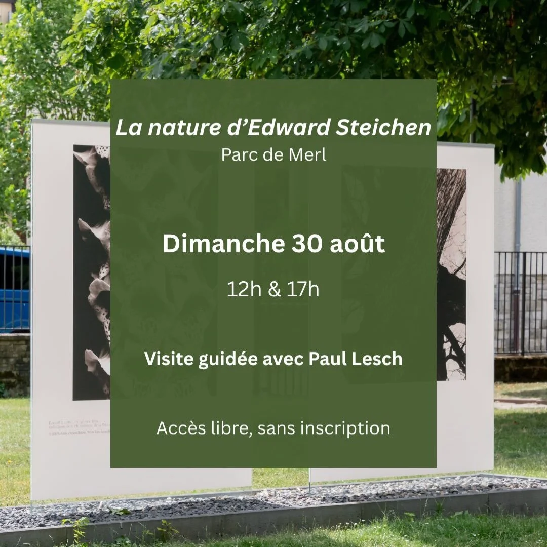 Partez &agrave; la d&eacute;couverte de La nature d&rsquo;Edward Steichen au Parc de Merl, &agrave; l&rsquo;occasion de visites guid&eacute;es par Paul Lesch (@paul.lesch). Rendez-vous ce dimanche 30 ao&ucirc;t, &agrave; 12h ou 17h, sans inscription 