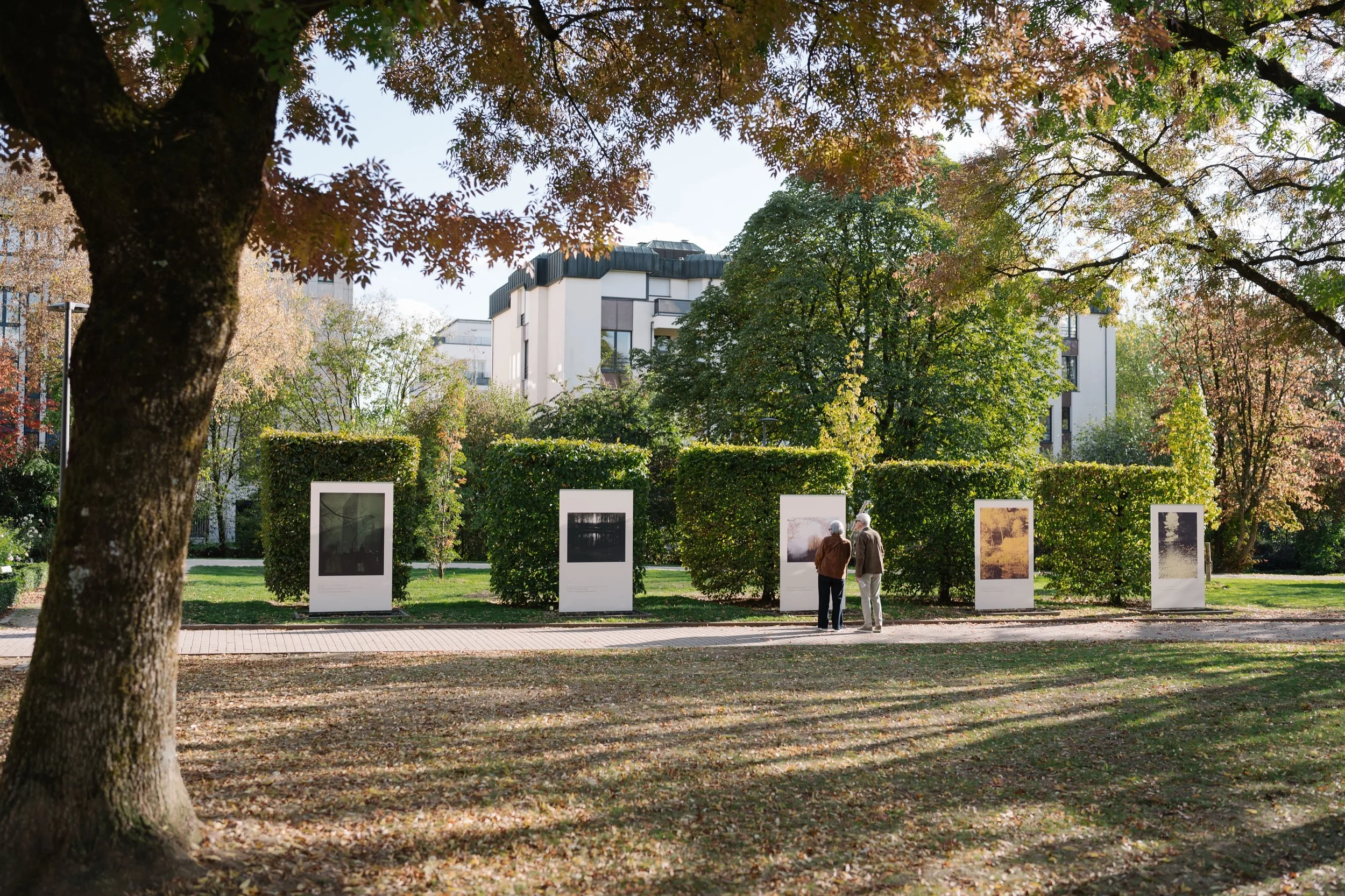 Dernier week-end pour d&eacute;couvrir La nature d&rsquo;Edward Steichen au Parc de Merl ! 🌿⏳

L&rsquo;exposition en plein air, r&eacute;alis&eacute;e en collaboration avec la @villedeluxembourg et @edwardsteichenestate s&rsquo;ach&egrave;ve ce dima