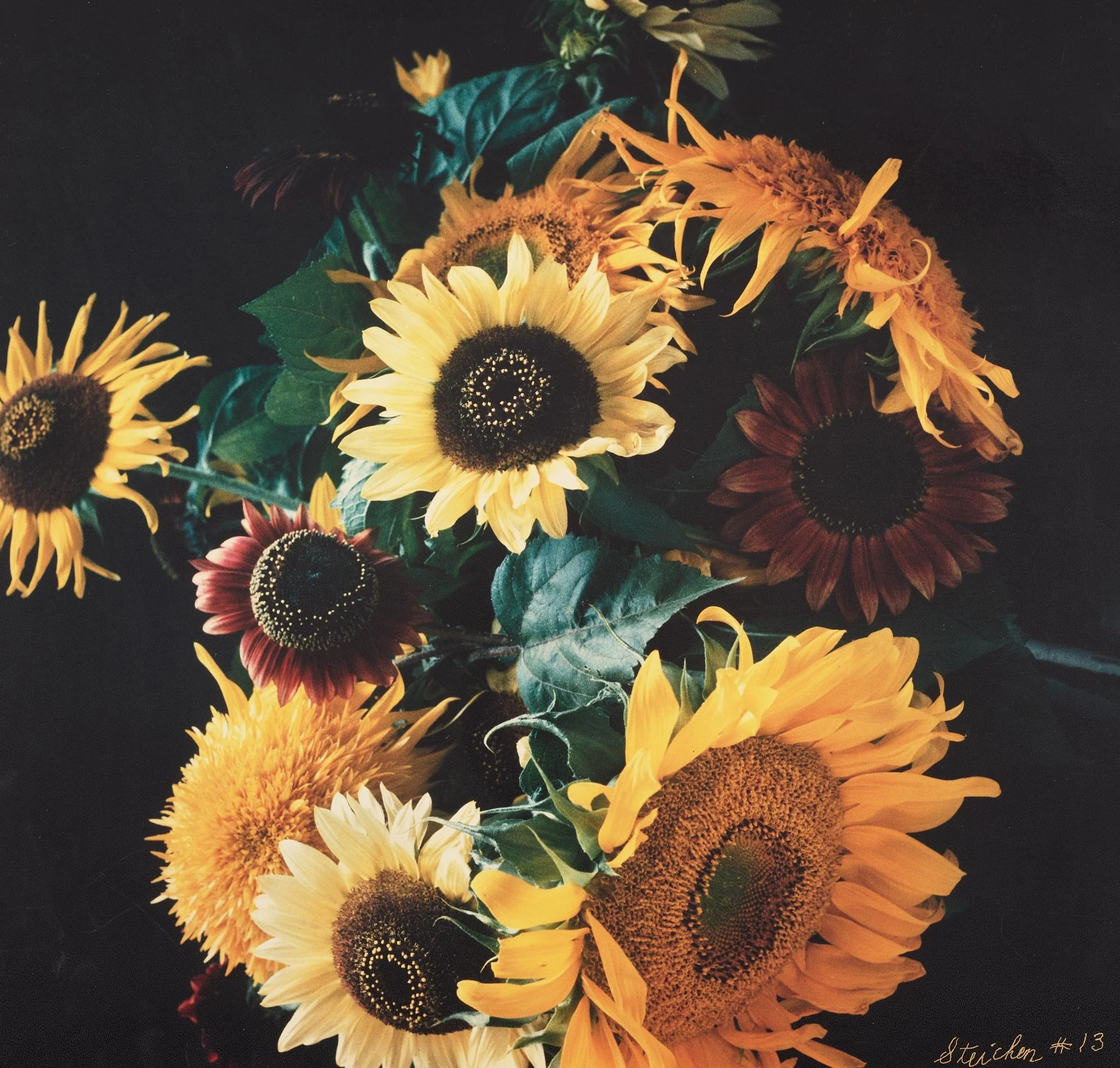 Sunflowers bouquet