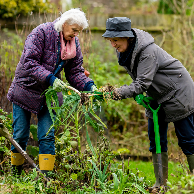 Support available to help people become self-employed and offer services that improve health and wellbeing