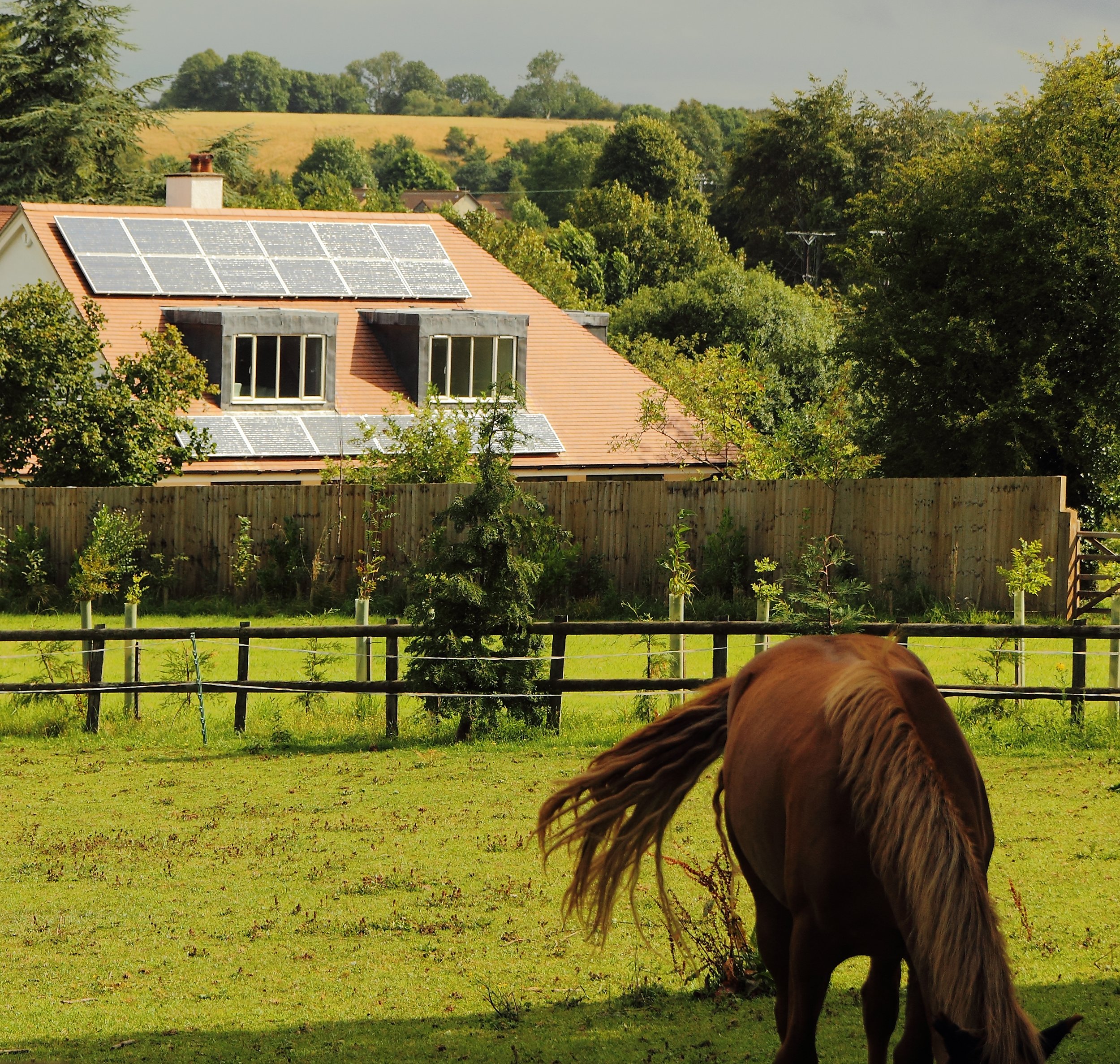 Turning local need into affordable homes: learning from what works in rural communities
