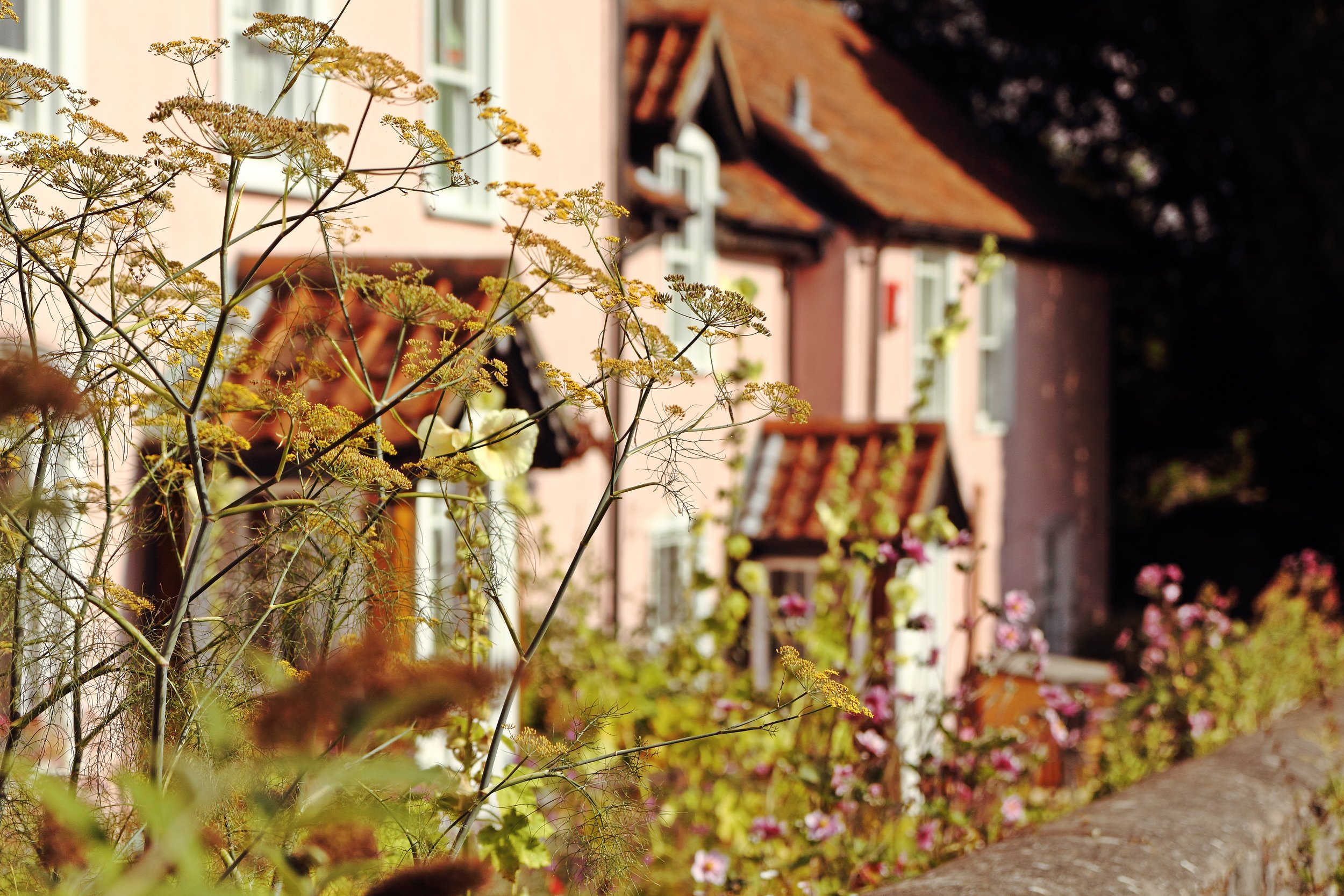 blagdon-pink-cottages_14836406462_o.jpg