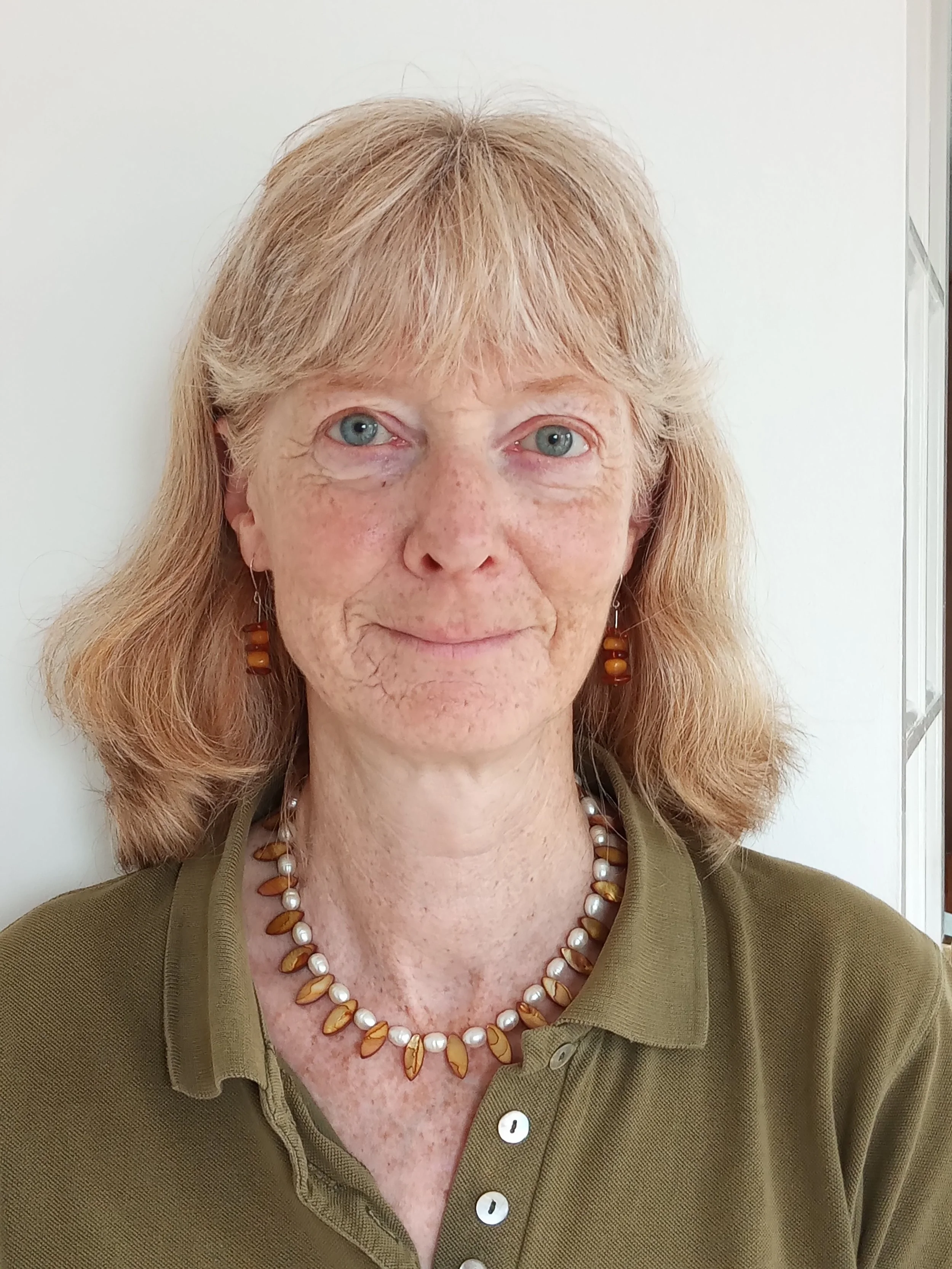 South Glos Village Agents — WERN