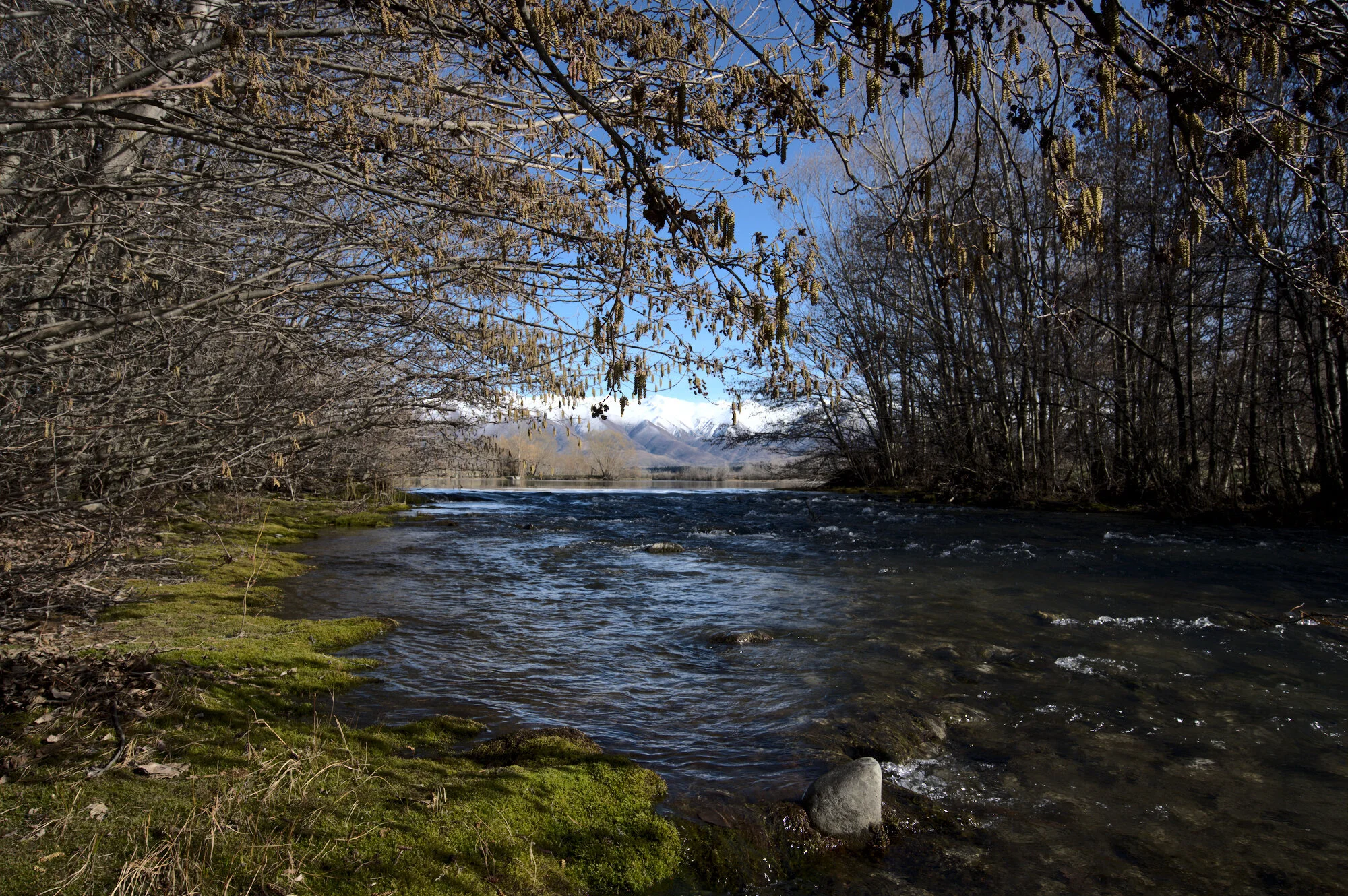 Twizel, South Island New Zealand