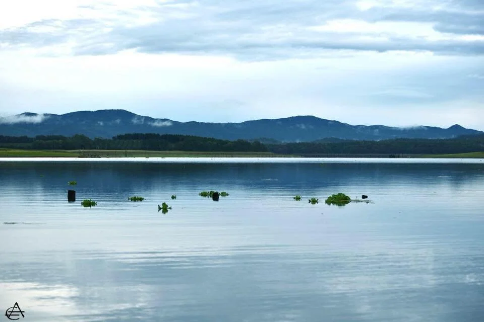 Lake Tinaroo, FNQ Australia