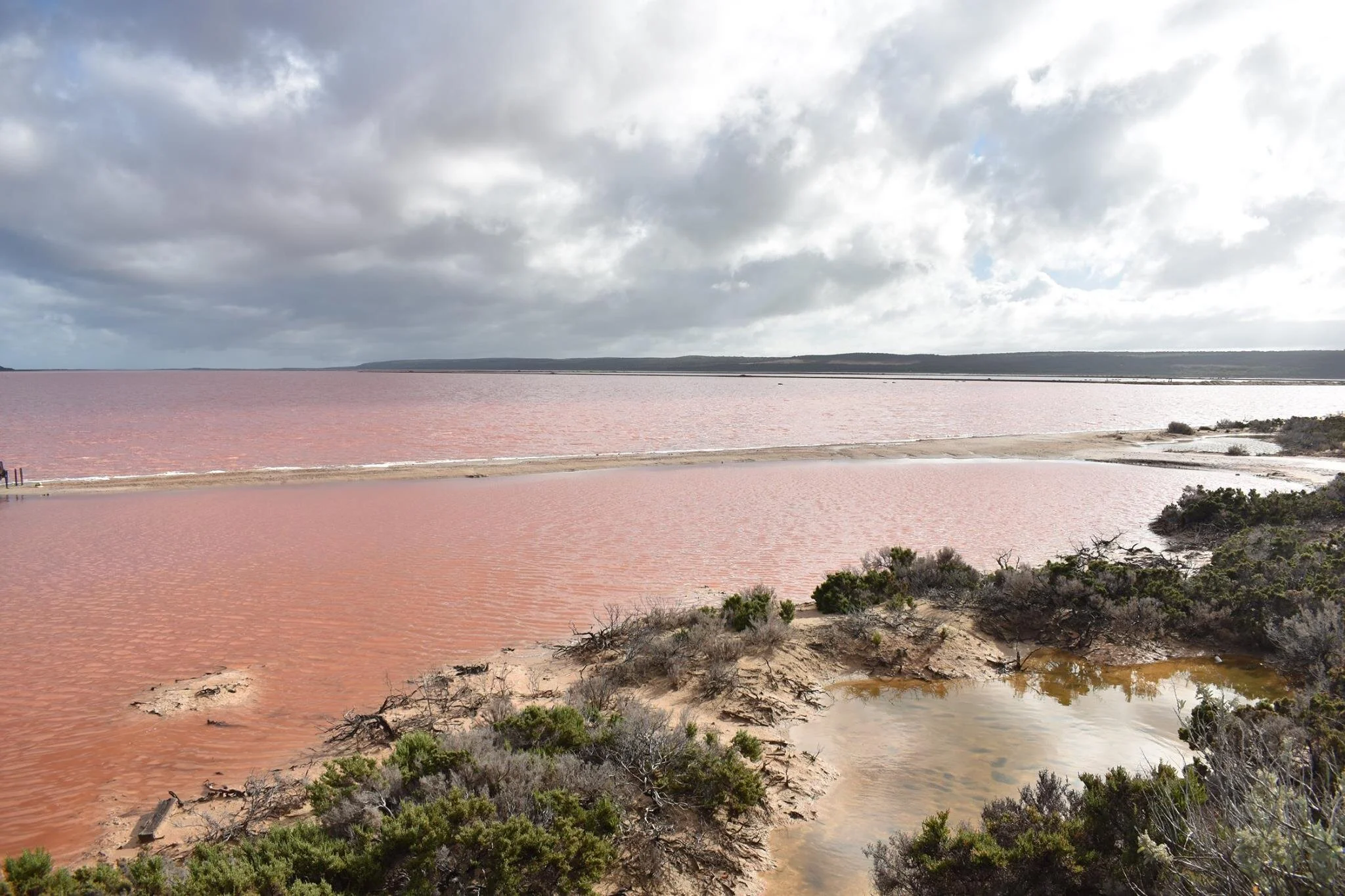 Pink Lake, WA Australia