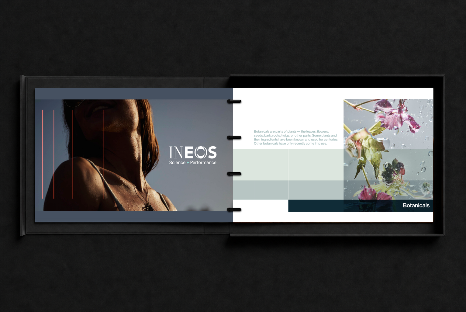 INEOS