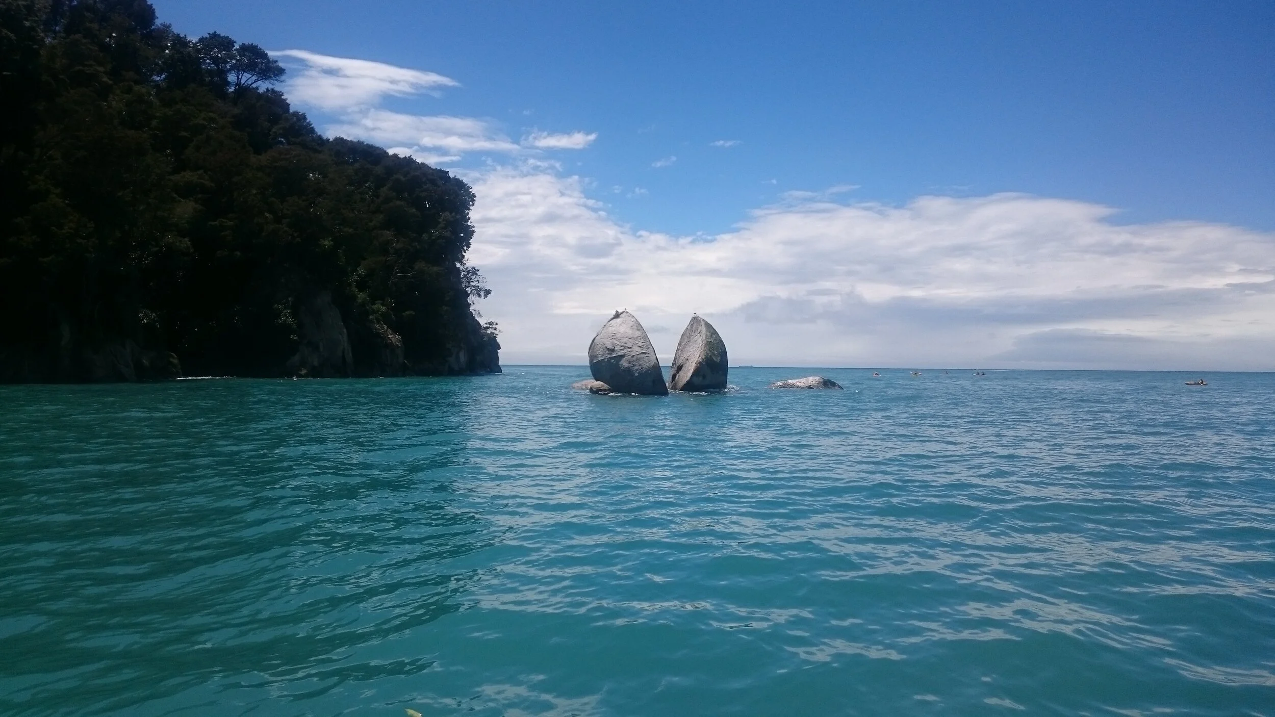 New Zealand Job Search Advice — www.dmimmigration.co.nz