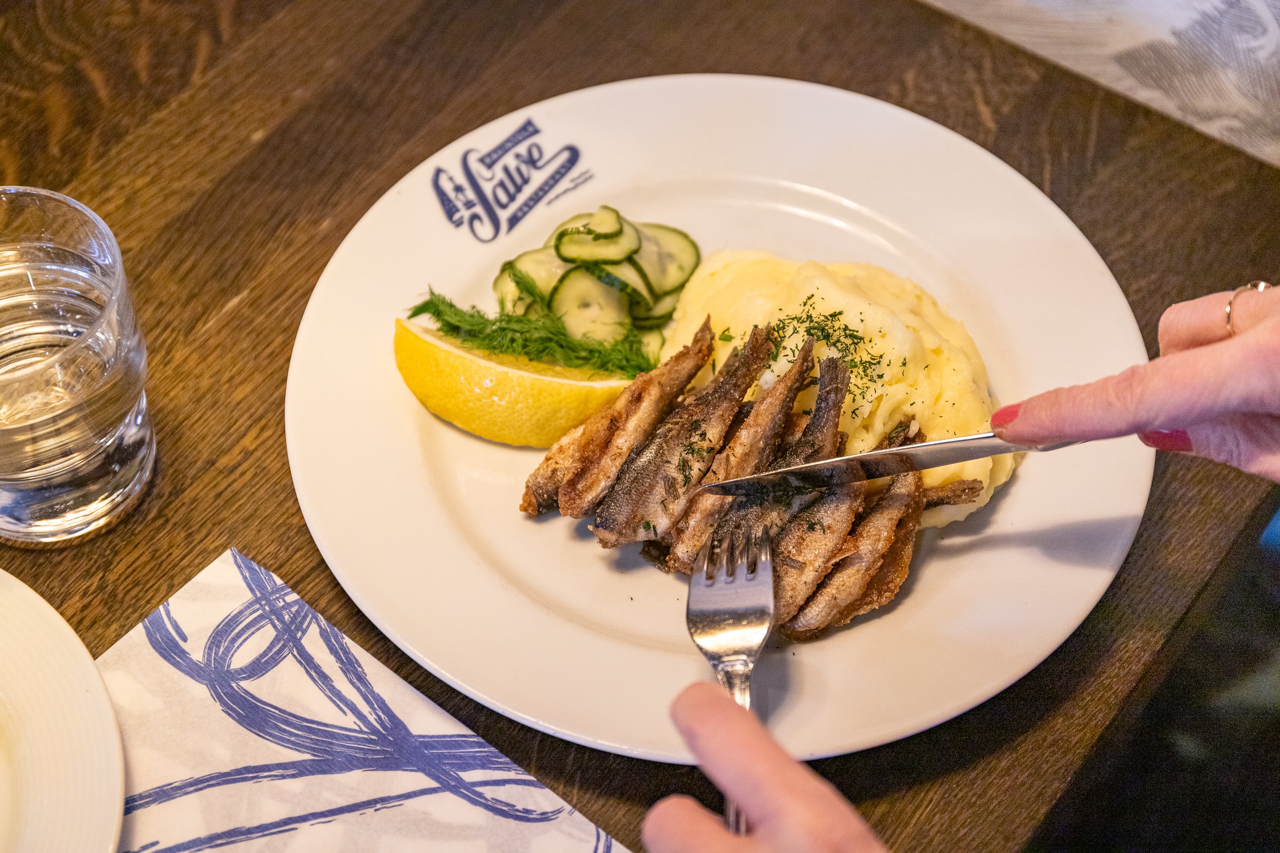 Salve 2024 isompi koko-01.jpg