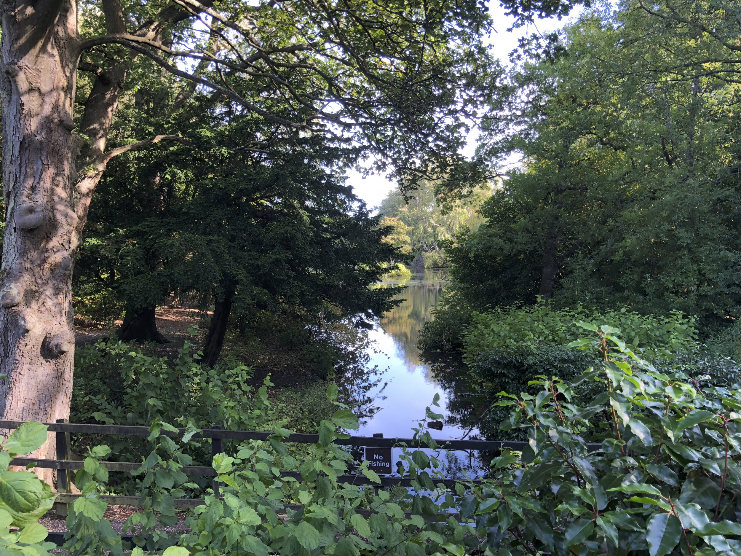Heriot Watt University