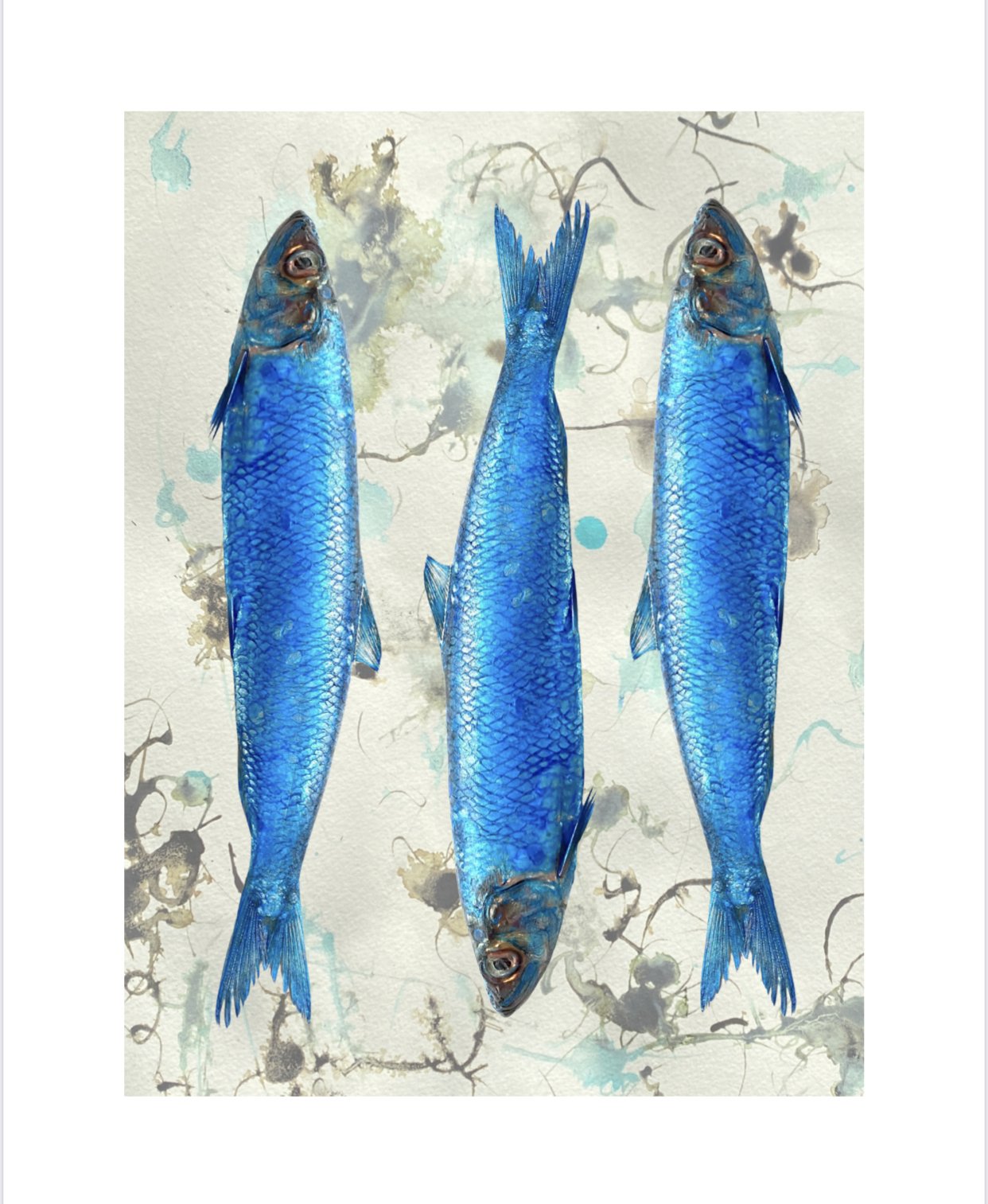 three blue fishes for shop.jpg