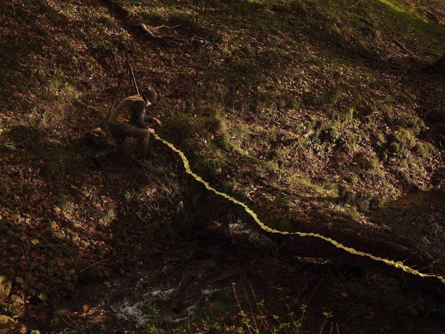 Andy Goldsworthy photographed for The New Yorker