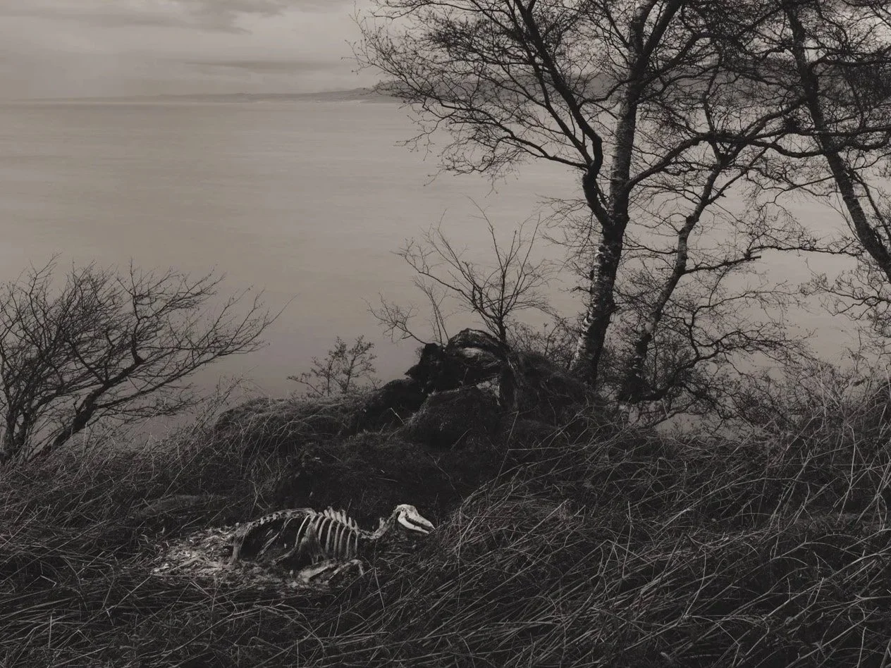 Raasay+-+Bones.jpg