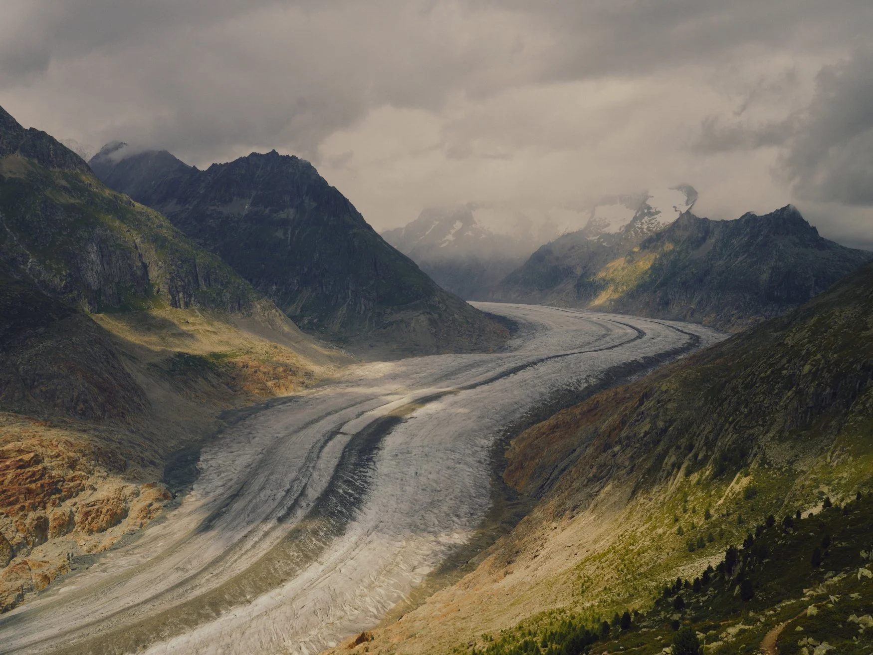 The Aletsch, Guardian 