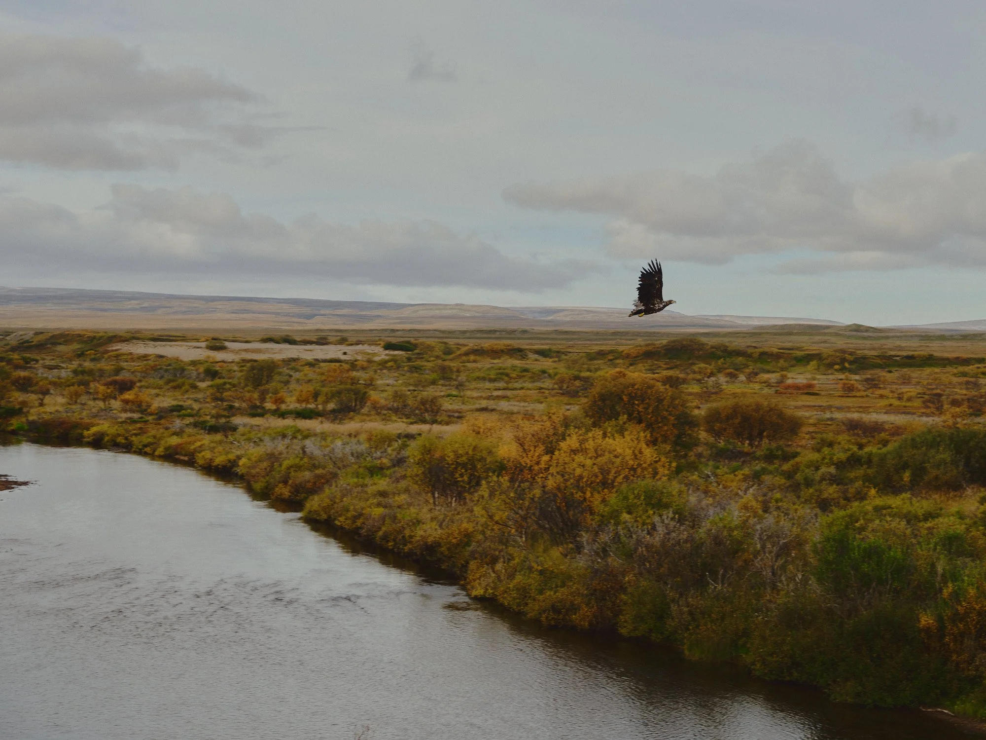 25-09-20_njrw_varanger_091.jpg