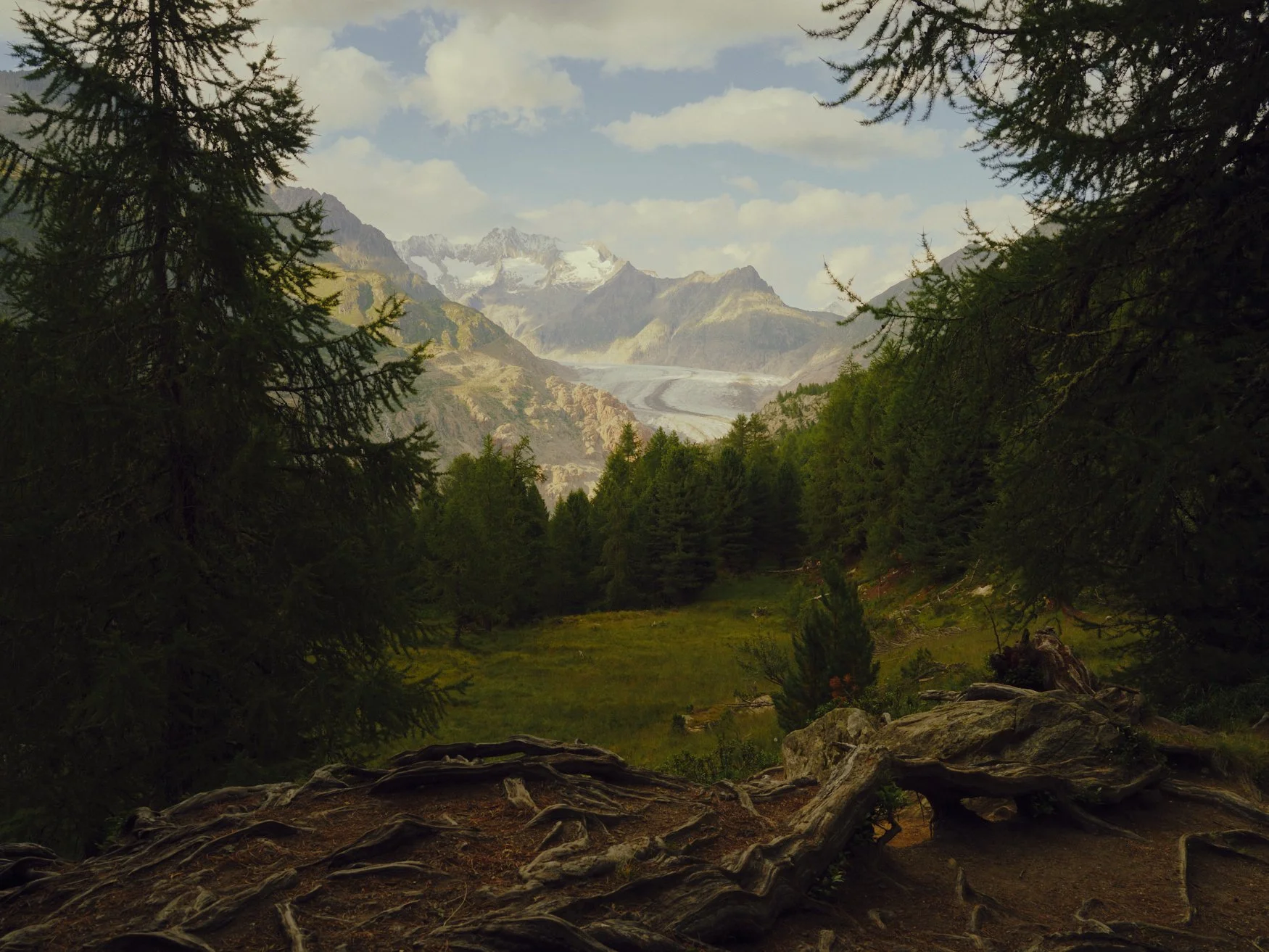 NICHOLASJRWHITE_ALETSCH_039.jpg