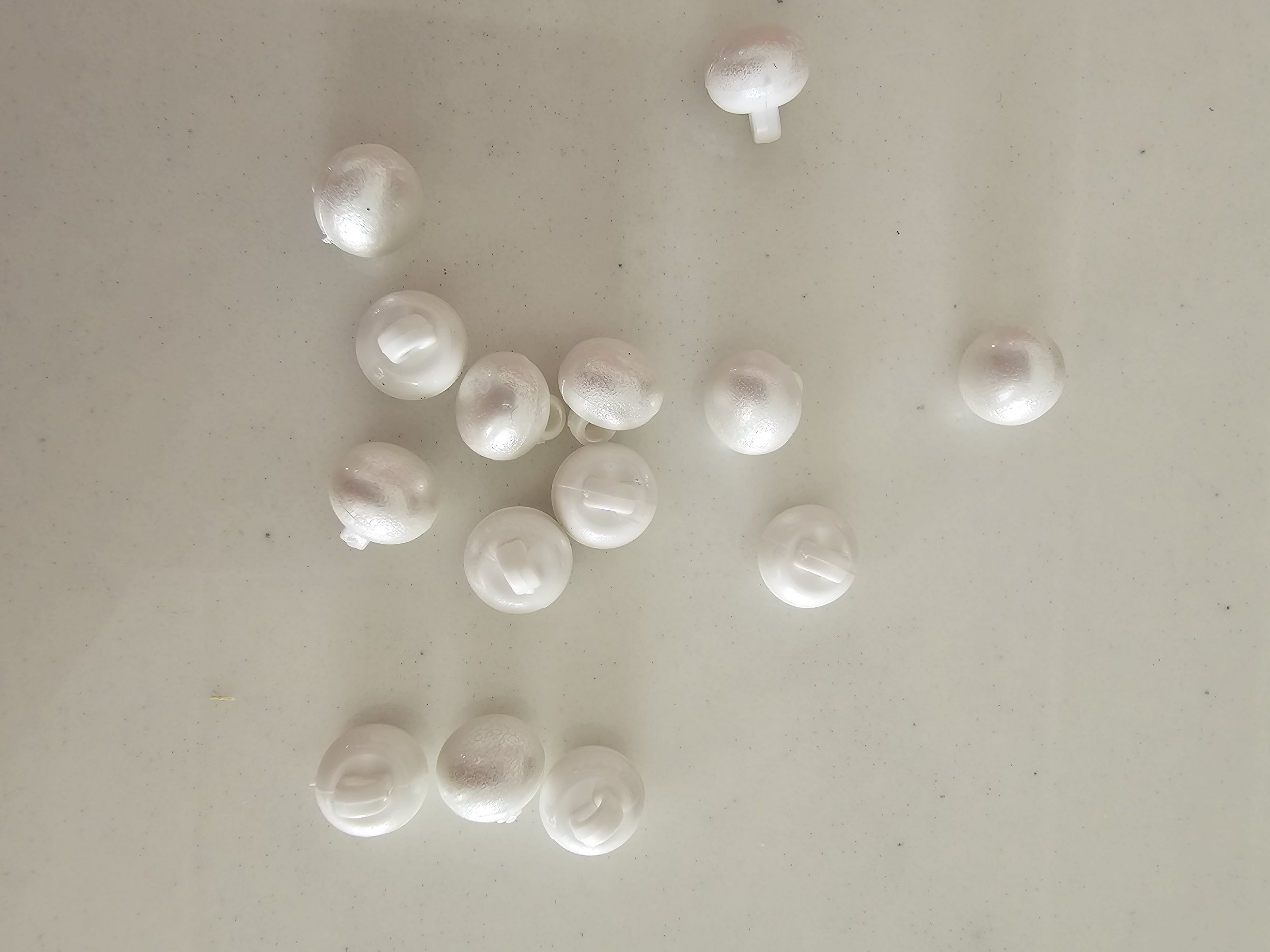 processed_960f20ceee1b4f02bc6ed5f78814065c.jpeg