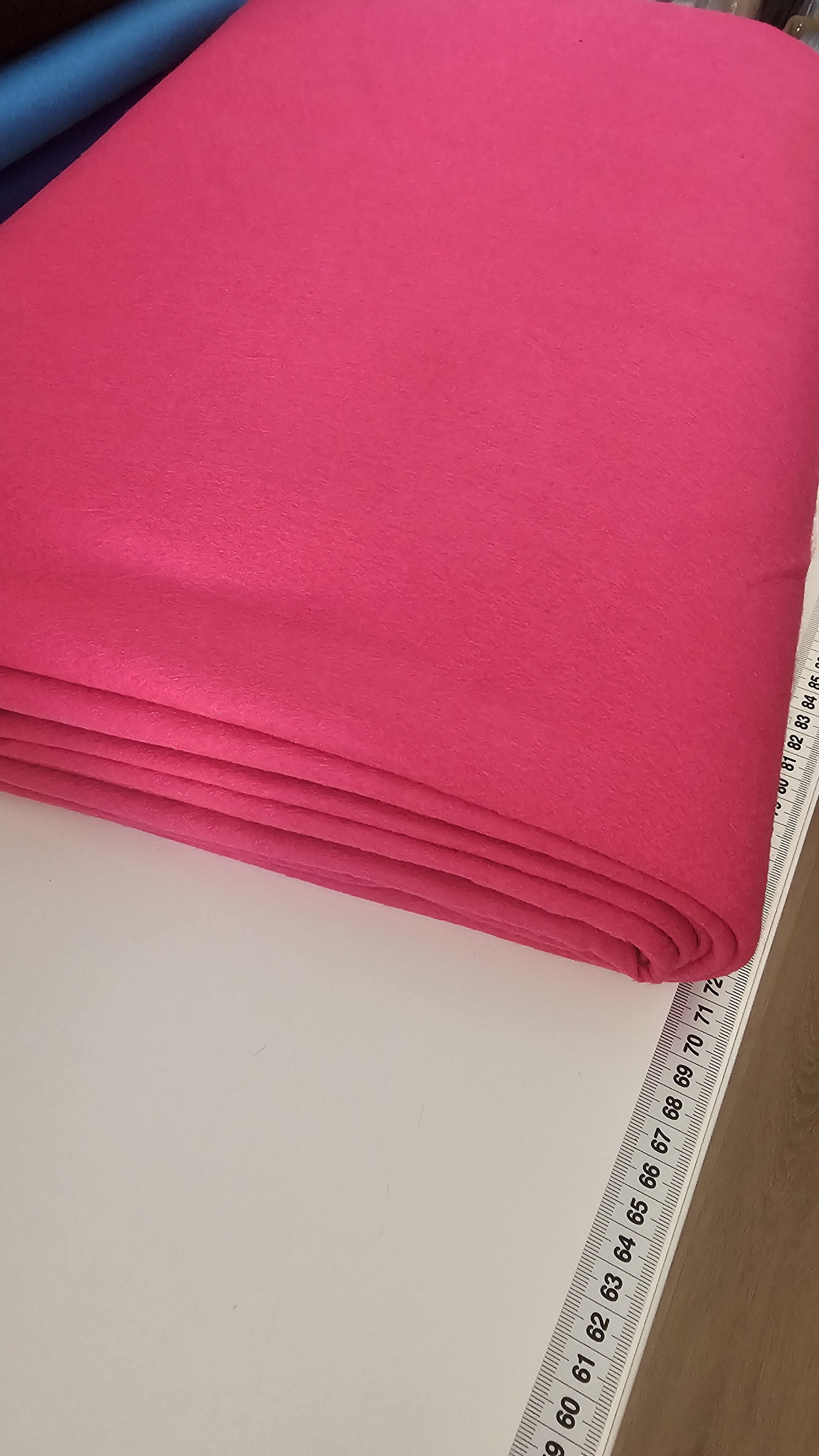 fuxia,jpg.jpg