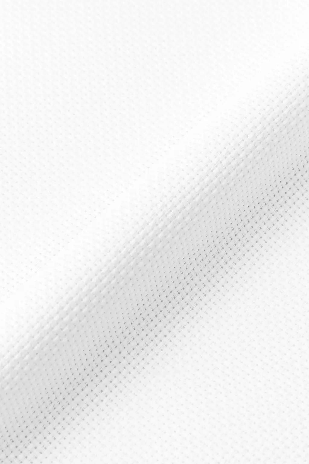 WHITE.webp
