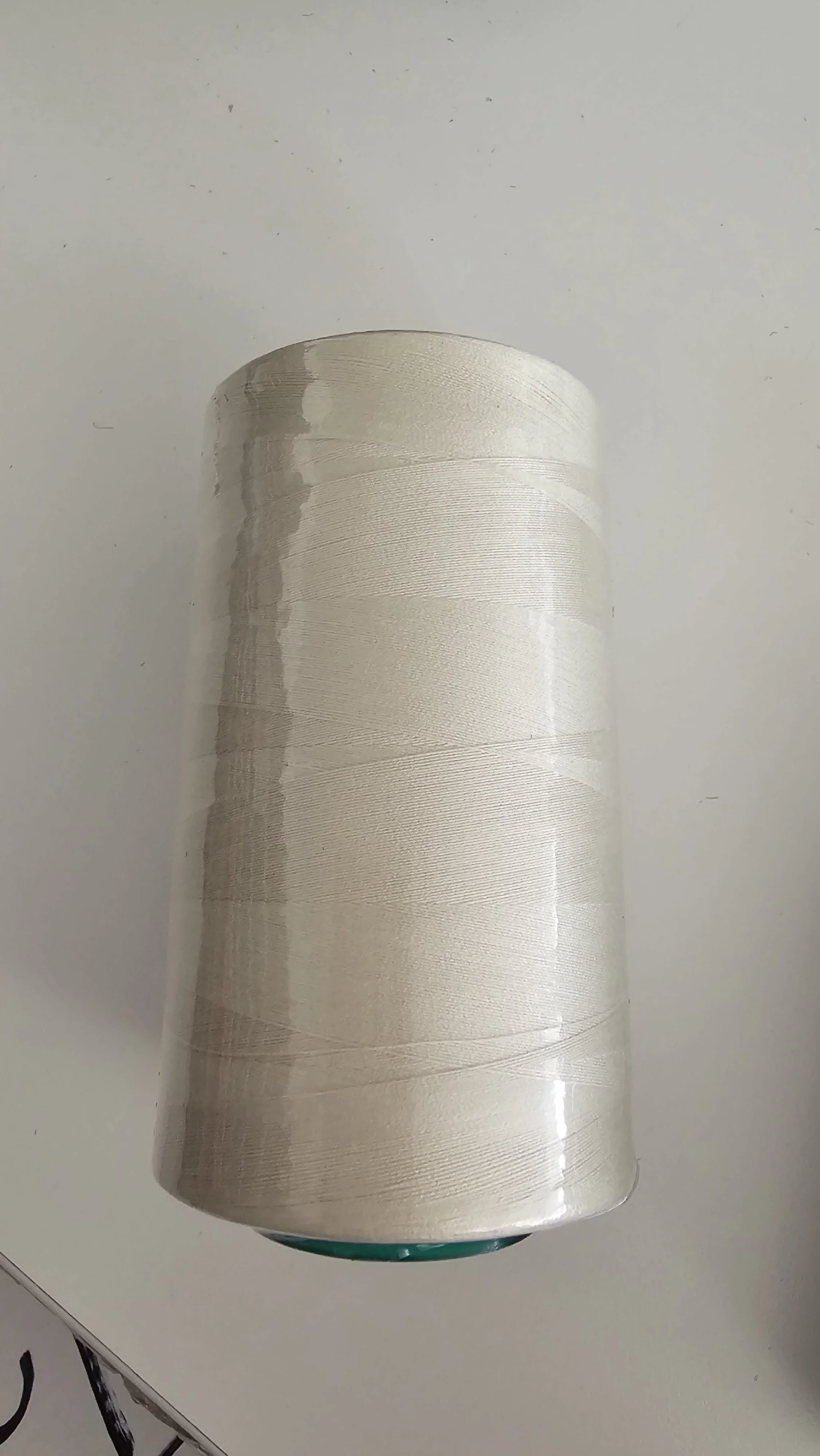 1000257125.jpg