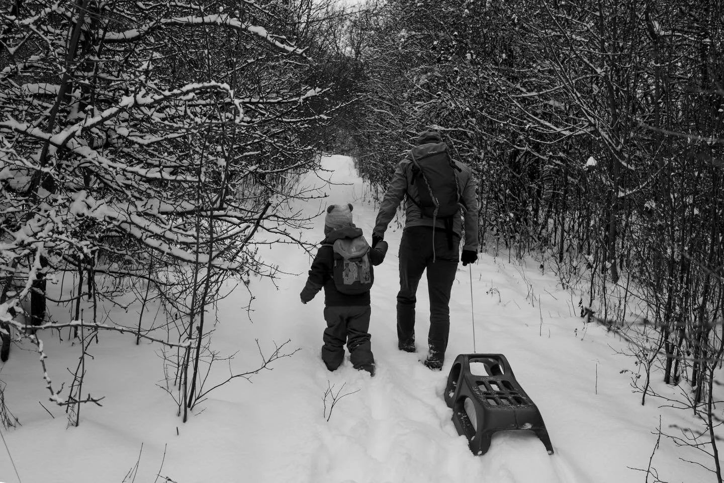 ☃️❄️🌨️⛄️