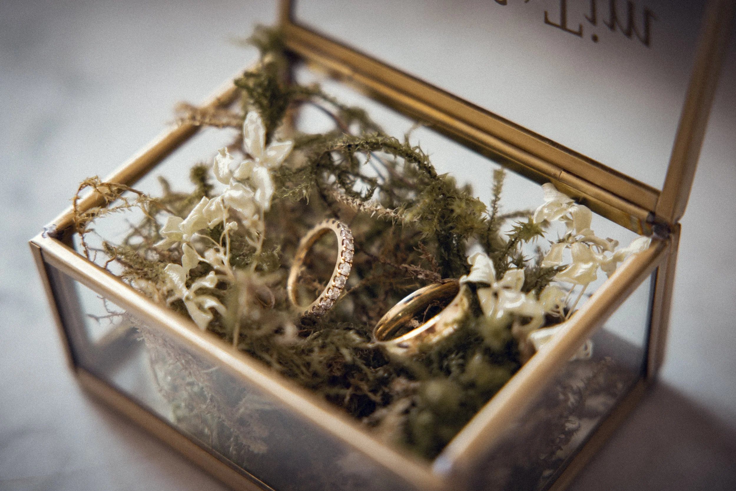 Tim & Janina Bilder Julia-3.jpg