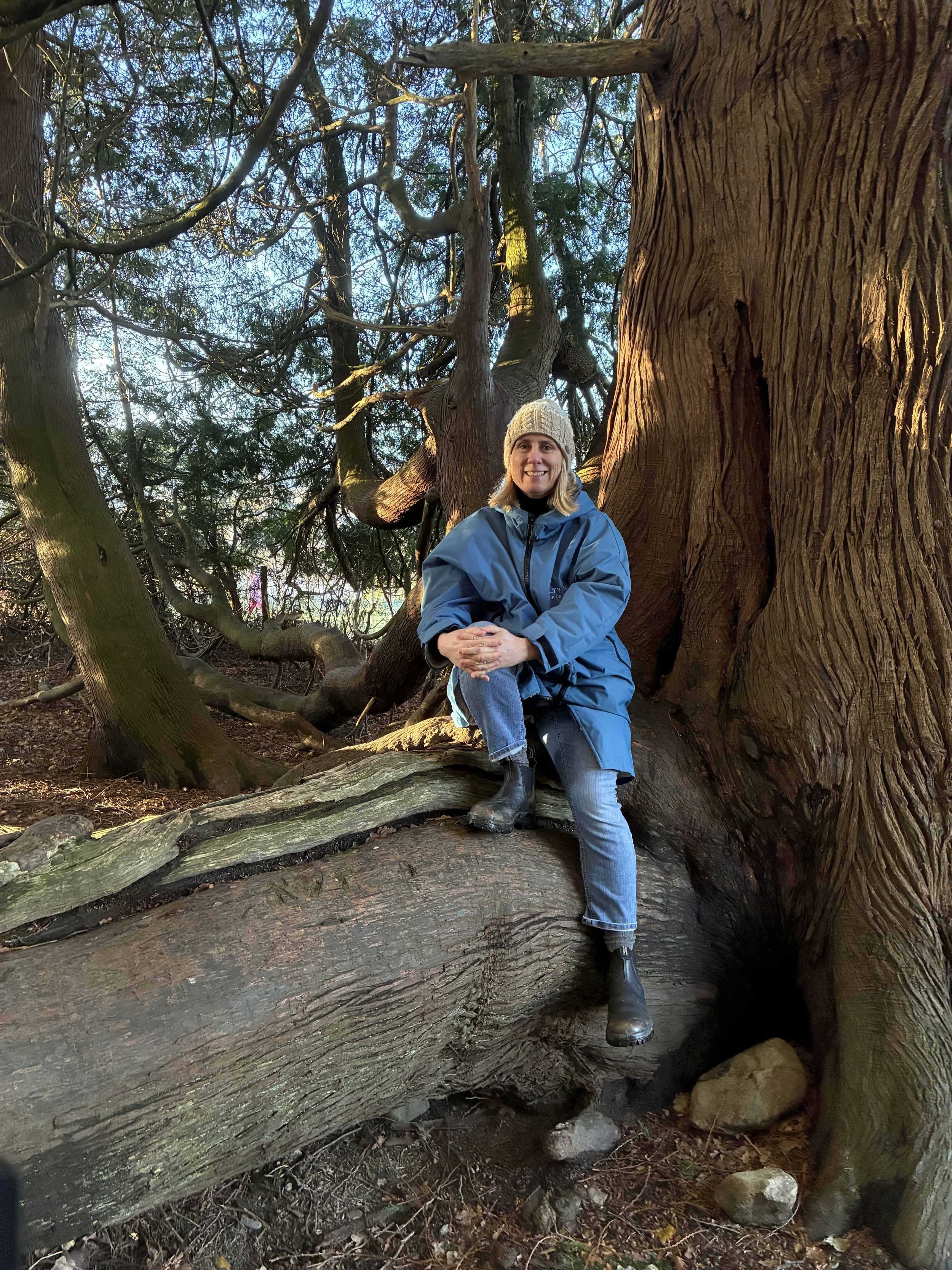 pelvicfloorpilatescourse