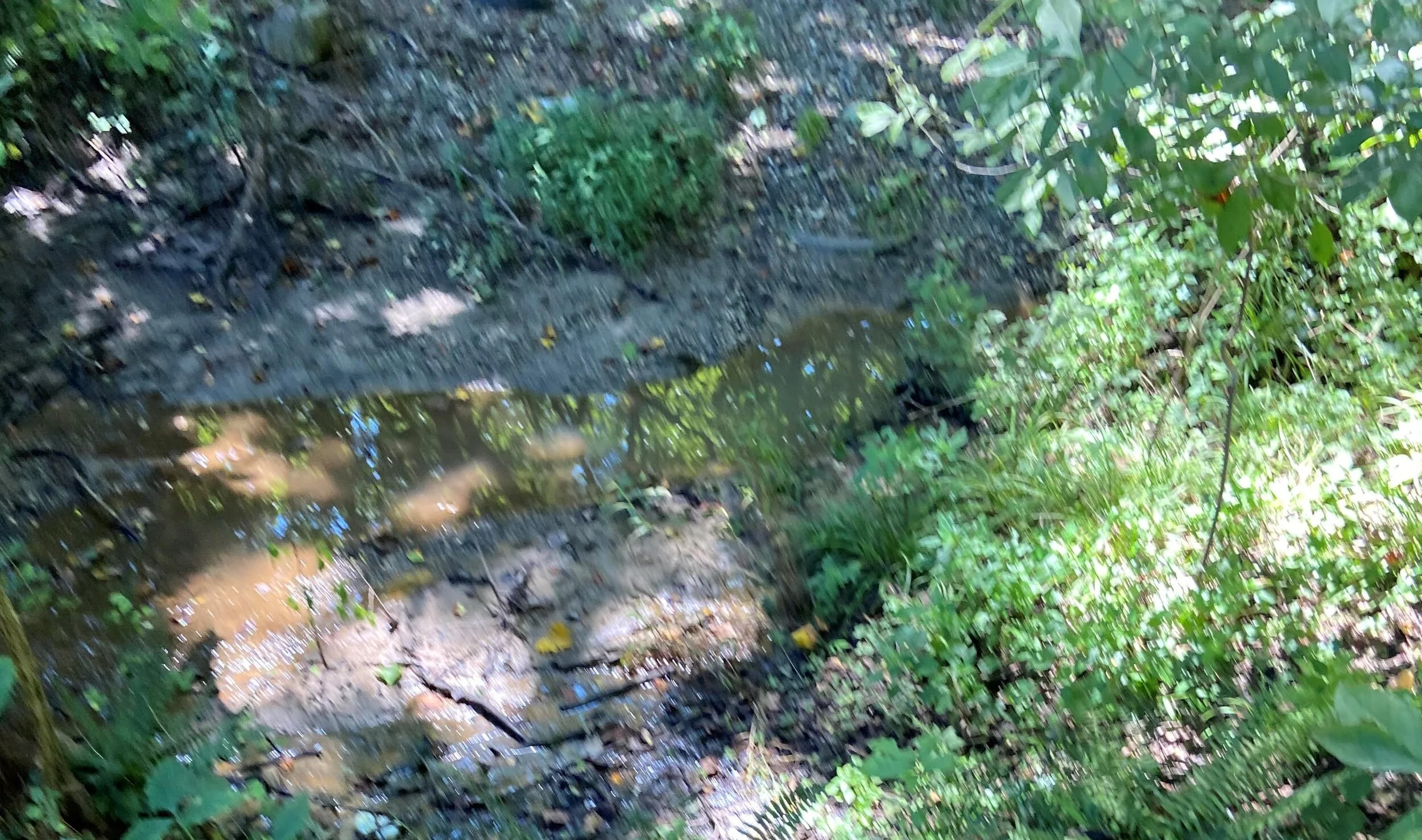 “Calvert County Times” Buries the Lead on PFAS Contamination of the