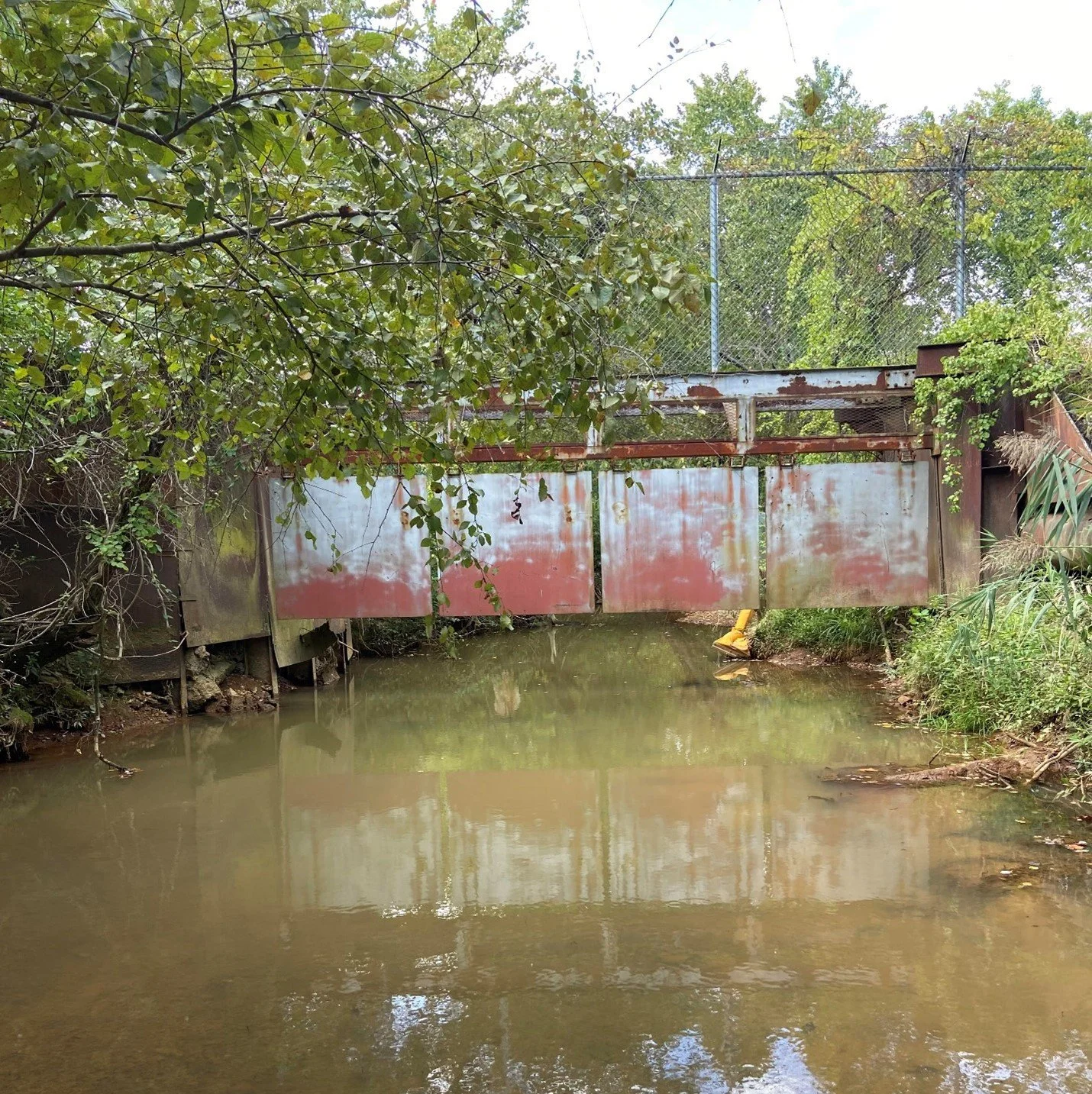 Jet Fuel, PFAS, and the silence of Washington