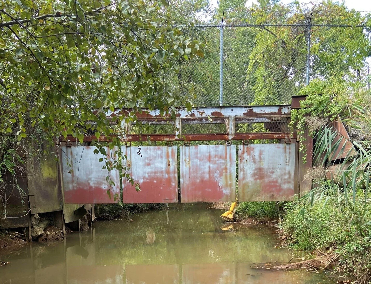 PFAS data vanishes from Maryland Department of the Environment website after unusual results appear 