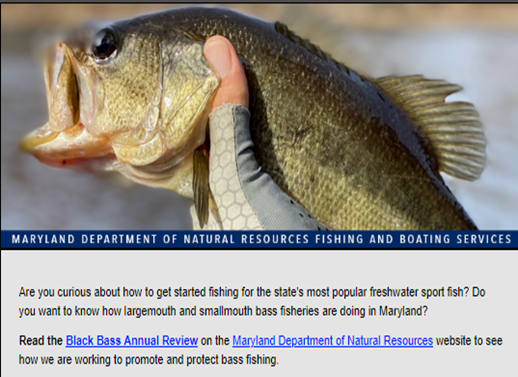 Catch the fish, but don't eat it! — Military Poisons