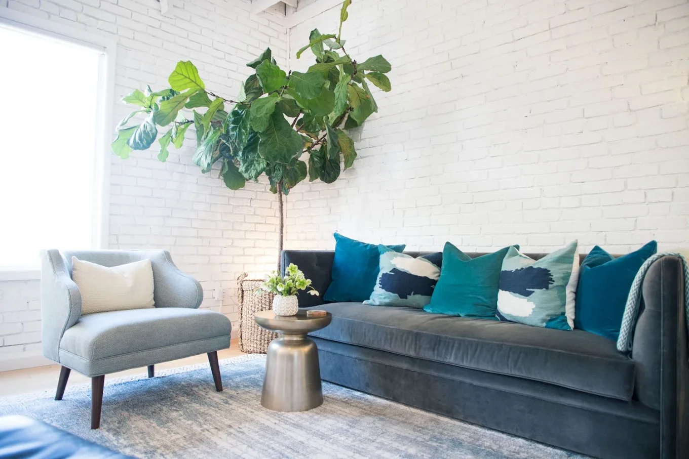 Therapy room with blue couch for Rachel Neporent, trauma therapist for women in Los Angeles & California