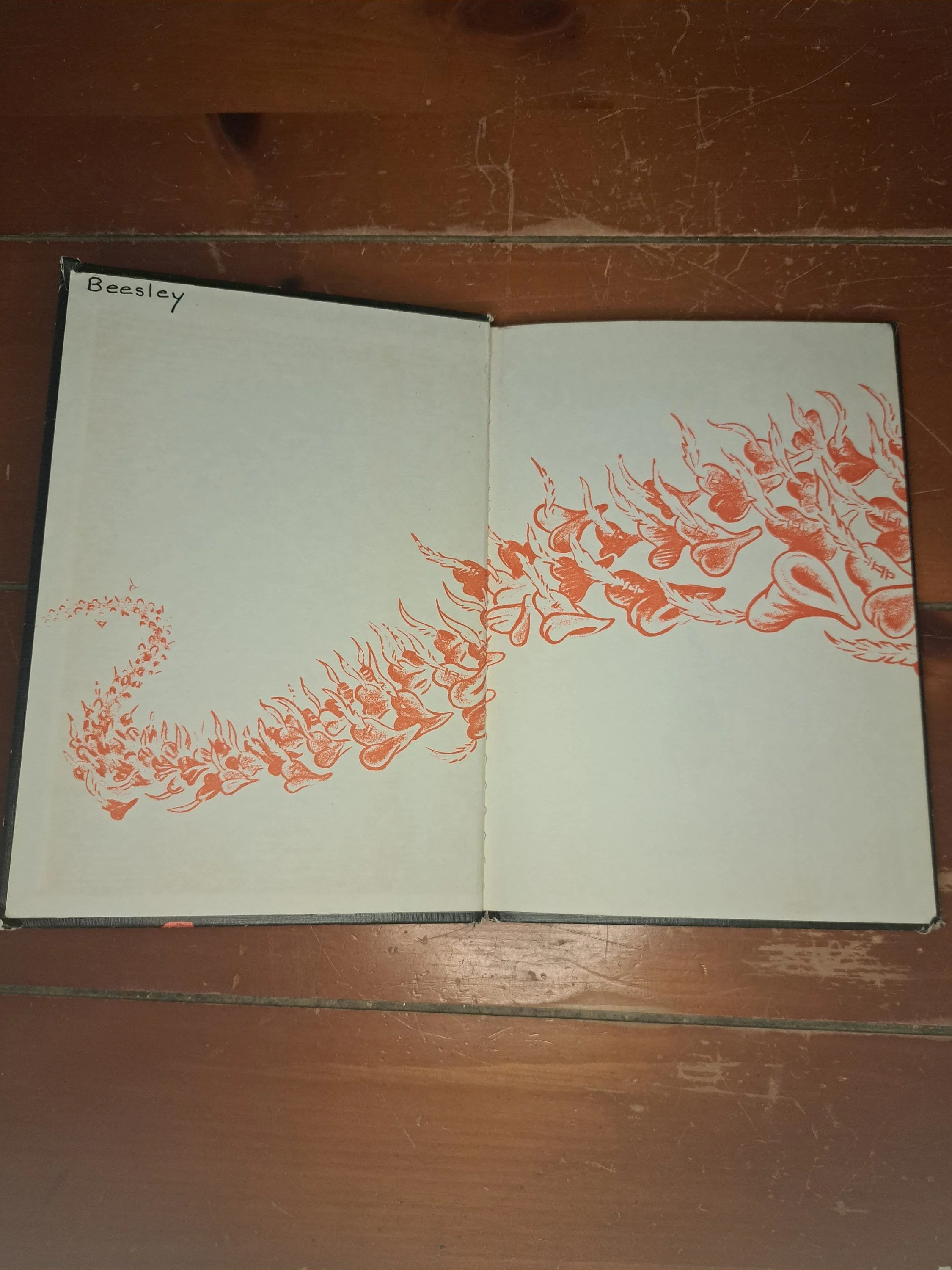 https://i.etsystatic.com/9208937/r/il/f3c830/5855563499/il_fullxfull.5855563499_a2tx.jpg