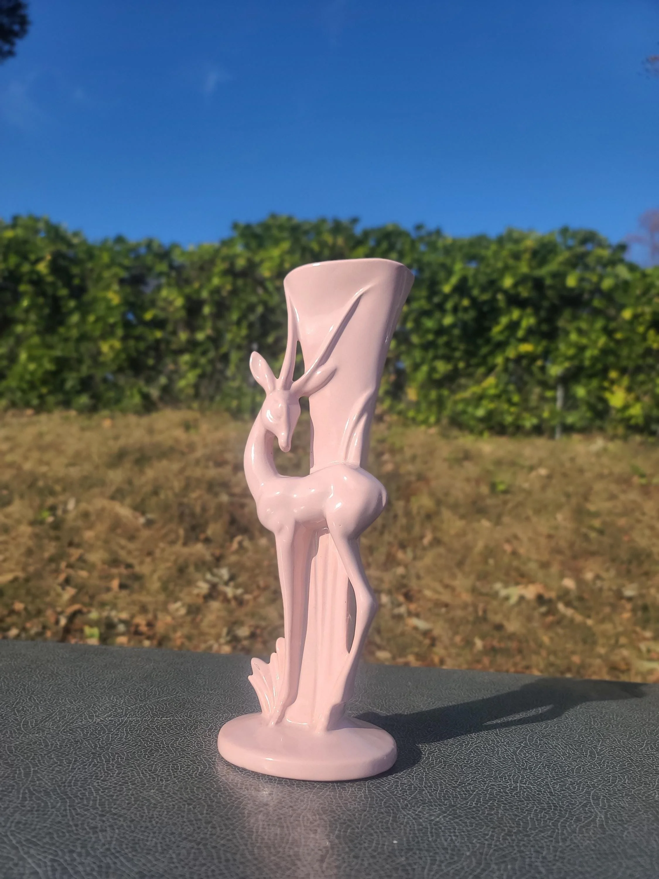 https://i.etsystatic.com/9208937/r/il/7cf9db/7394179242/il_fullxfull.7394179242_d182.jpg