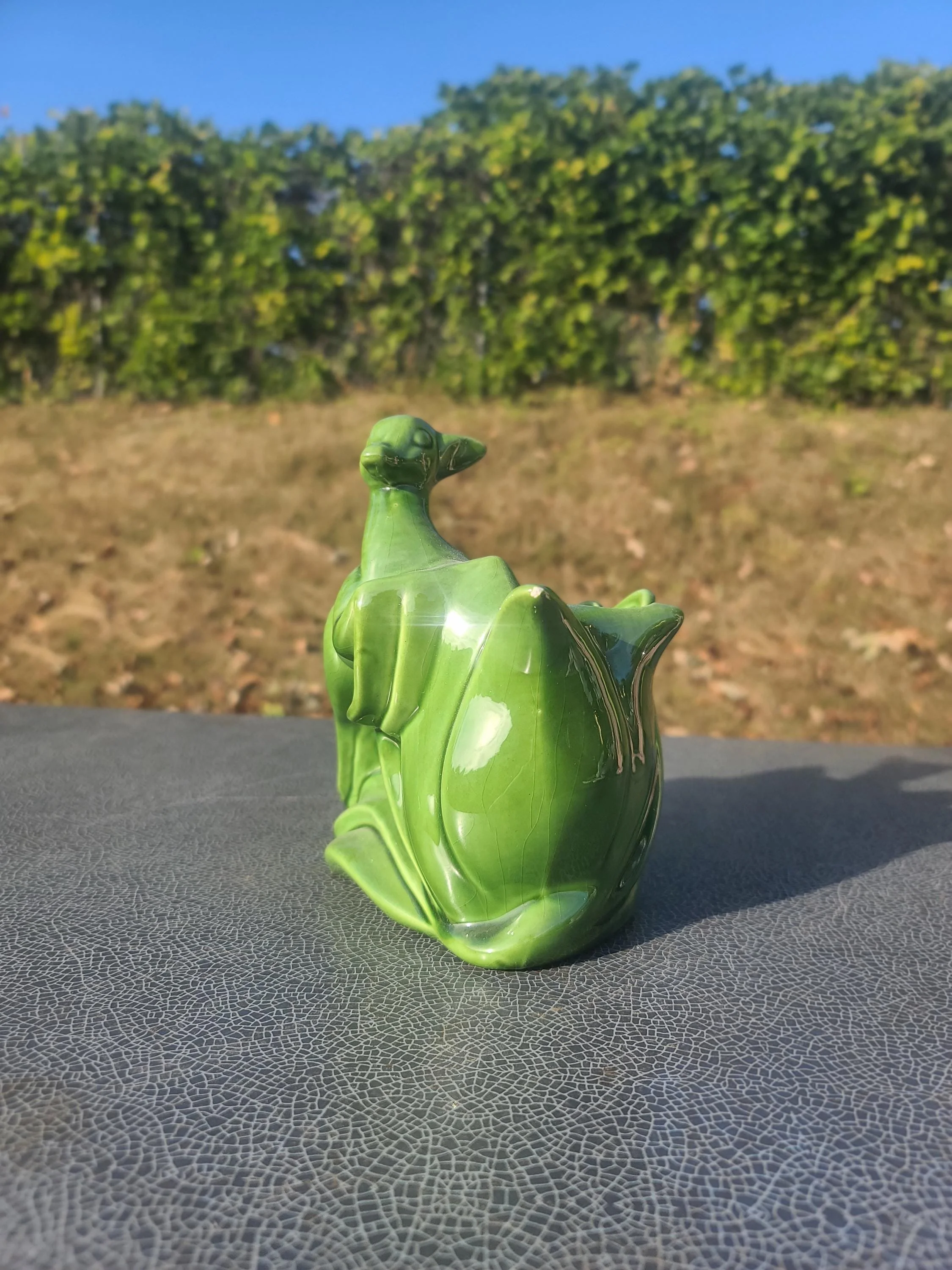 https://i.etsystatic.com/9208937/r/il/865bad/7394158008/il_fullxfull.7394158008_2p0n.jpg