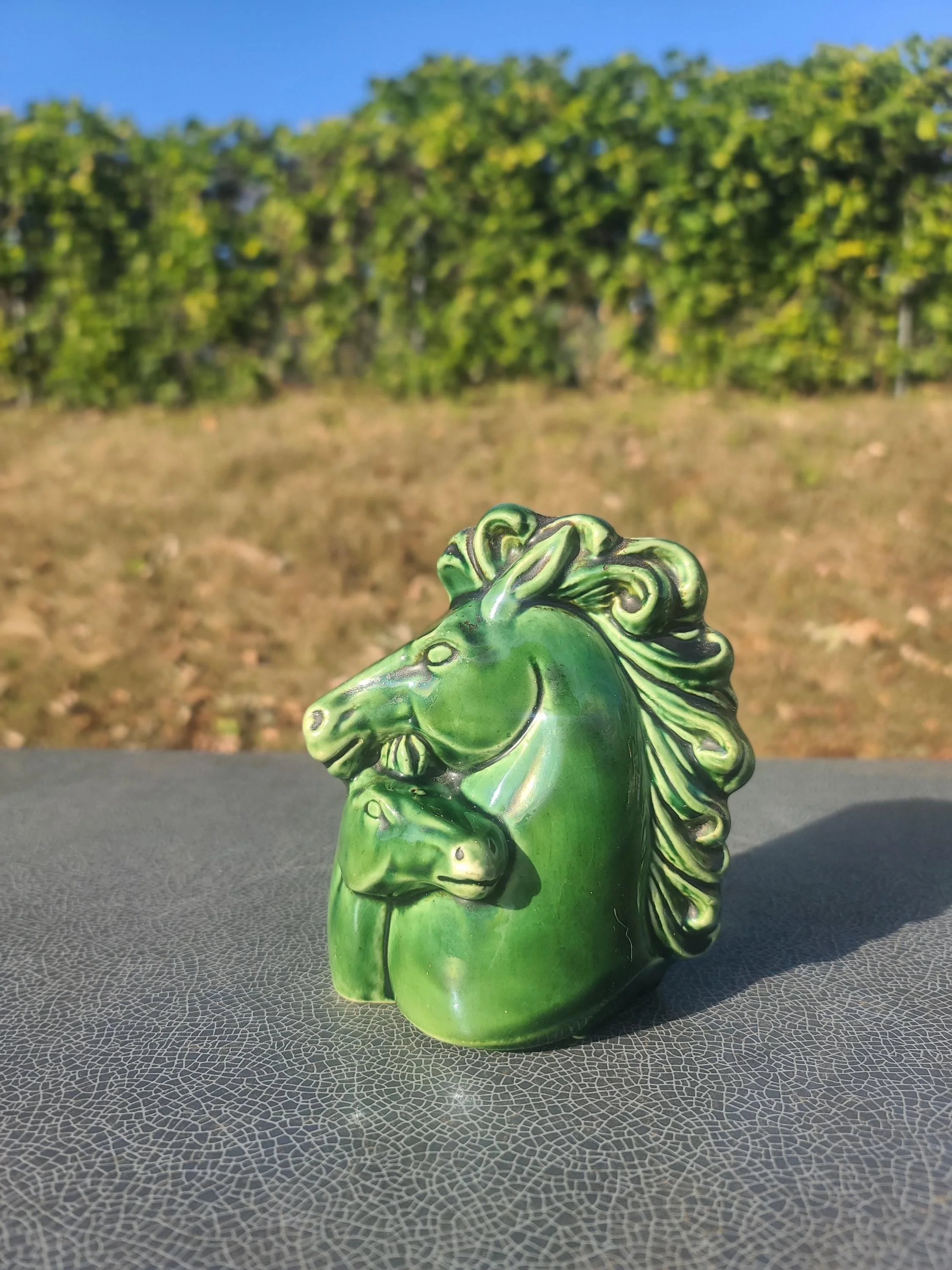 https://i.etsystatic.com/9208937/r/il/dd2d84/7394122172/il_fullxfull.7394122172_oeu2.jpg