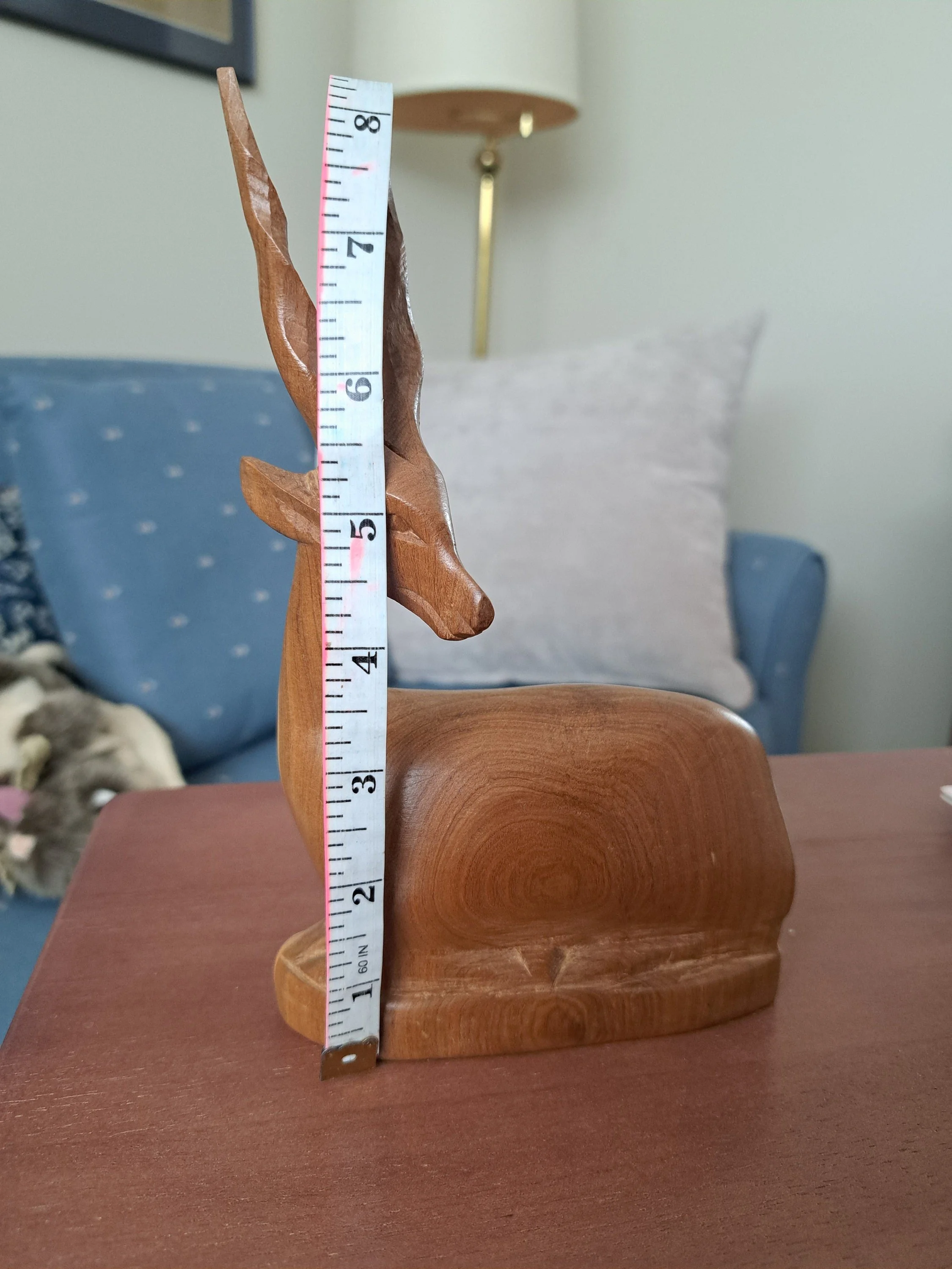https://i.etsystatic.com/9208937/r/il/1fc13b/5918129011/il_fullxfull.5918129011_lhgy.jpg